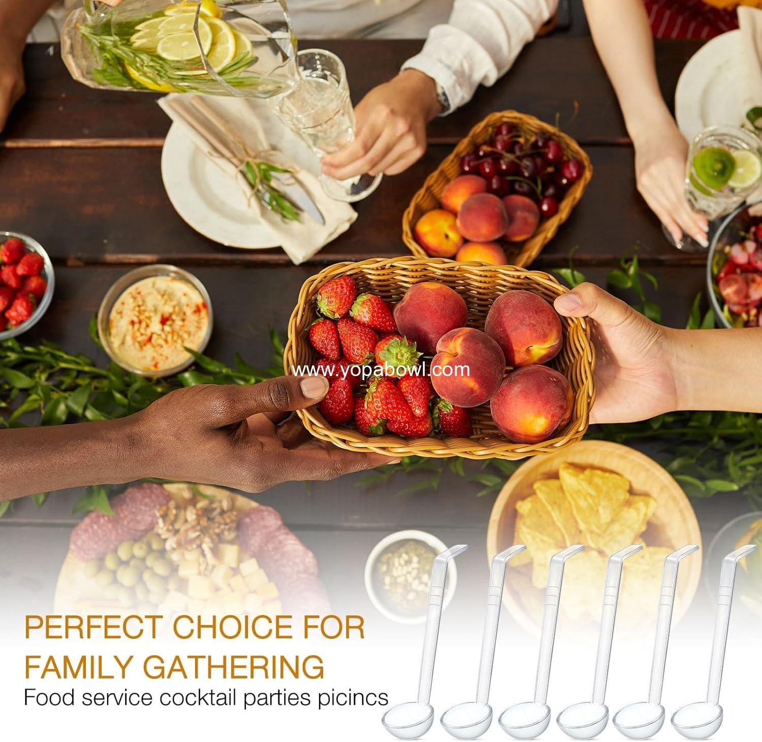 Wholesale 20 Pcs 1 oz Plastic Mini Ladles with 7-Inch Handle for Serving Salsa, Sauce, Dressing, Punch, and Toppings Clear Factory