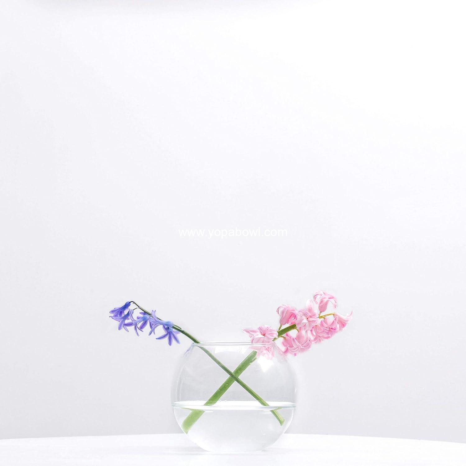 Wholesale Clear Bubble Glass Vase - 6