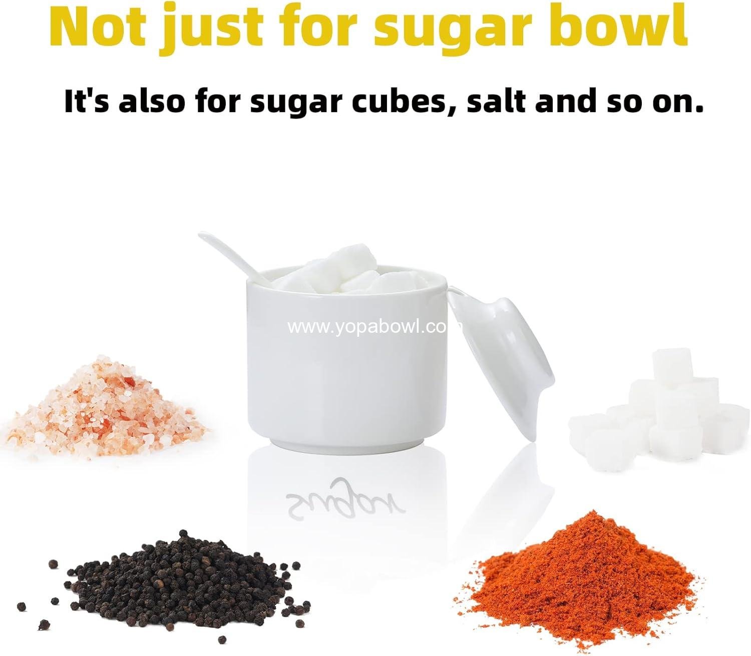 OEM Ceramic Sugar Bowl with Lid and Spoon, 8oz Porcelain Seasoning Box for Salt - Wholesale Factory OEM Ceramic Sugar Bowl with Lid and Spoon, 8oz Porcelain Seasoning Box for Salt - Wholesale Factory