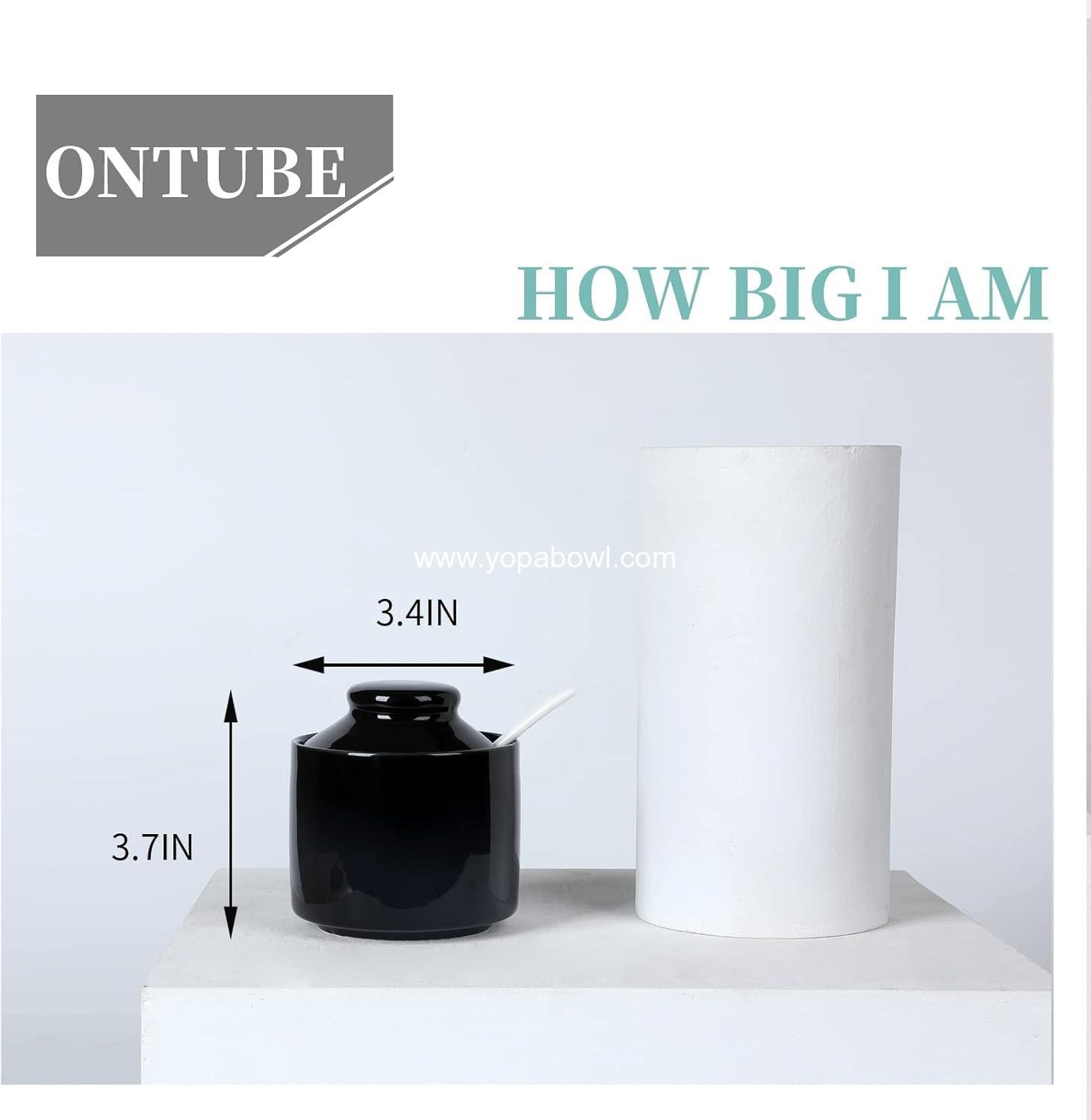 Wholesale Ceramic Sugar Bowl with Lid and Spoon, 8oz Porcelain Seasoning Salt Bowl (Black) - Factory