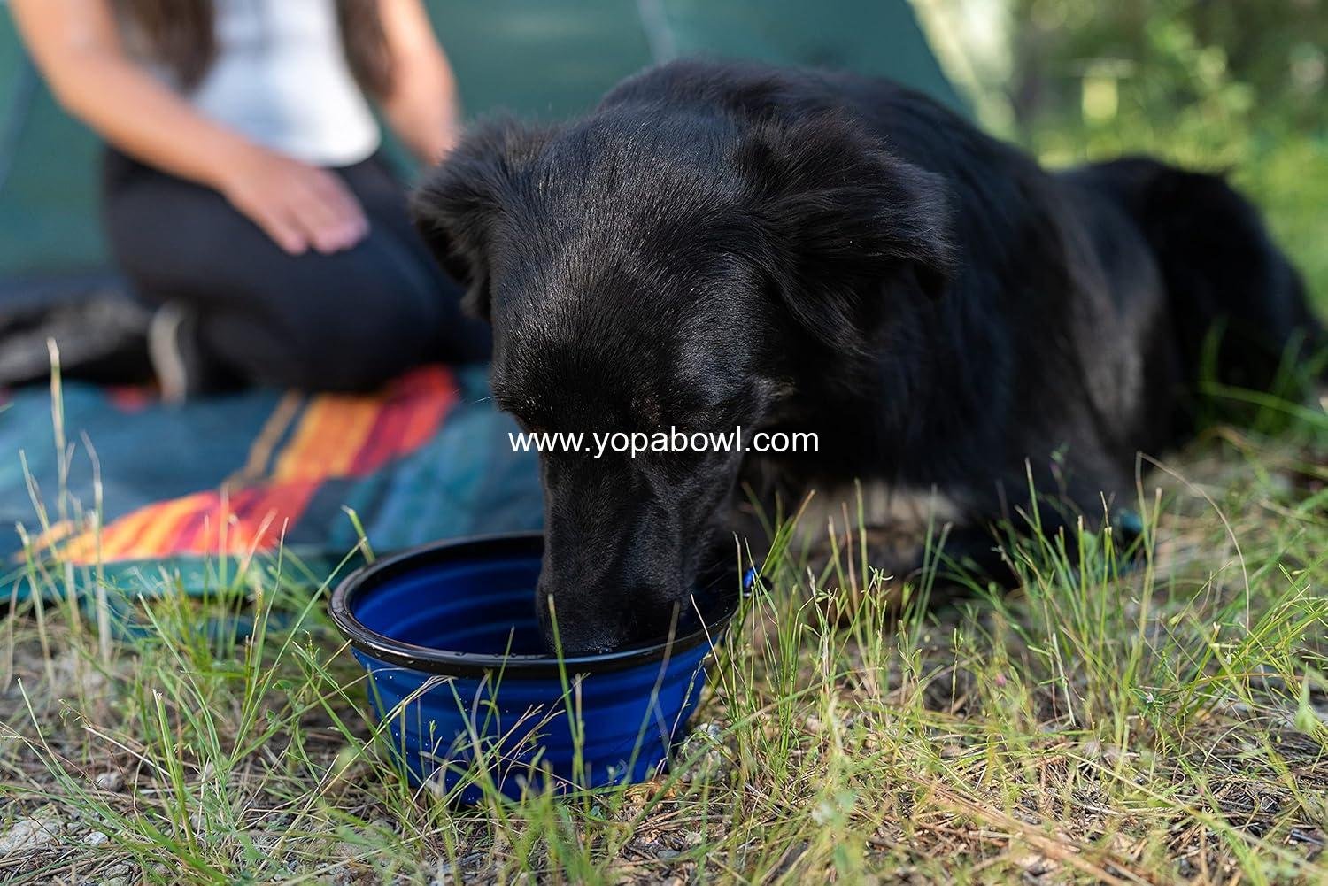 Wholesale Collapsible Silicone Travel Bowls, 2 Pack, Grey and Blue, Large Factory