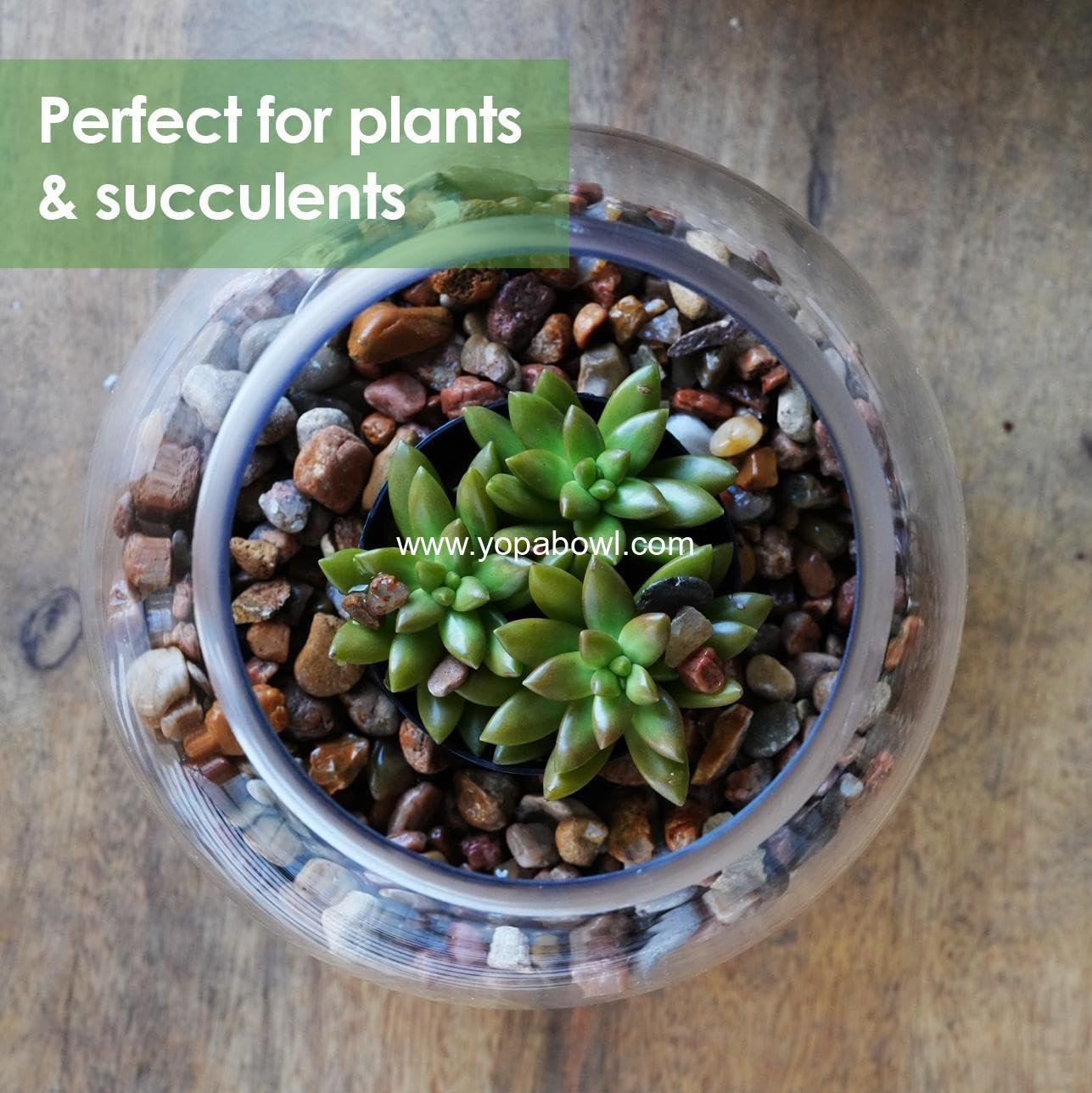 Wholesale Glass Bubble Bowl Vase, 6