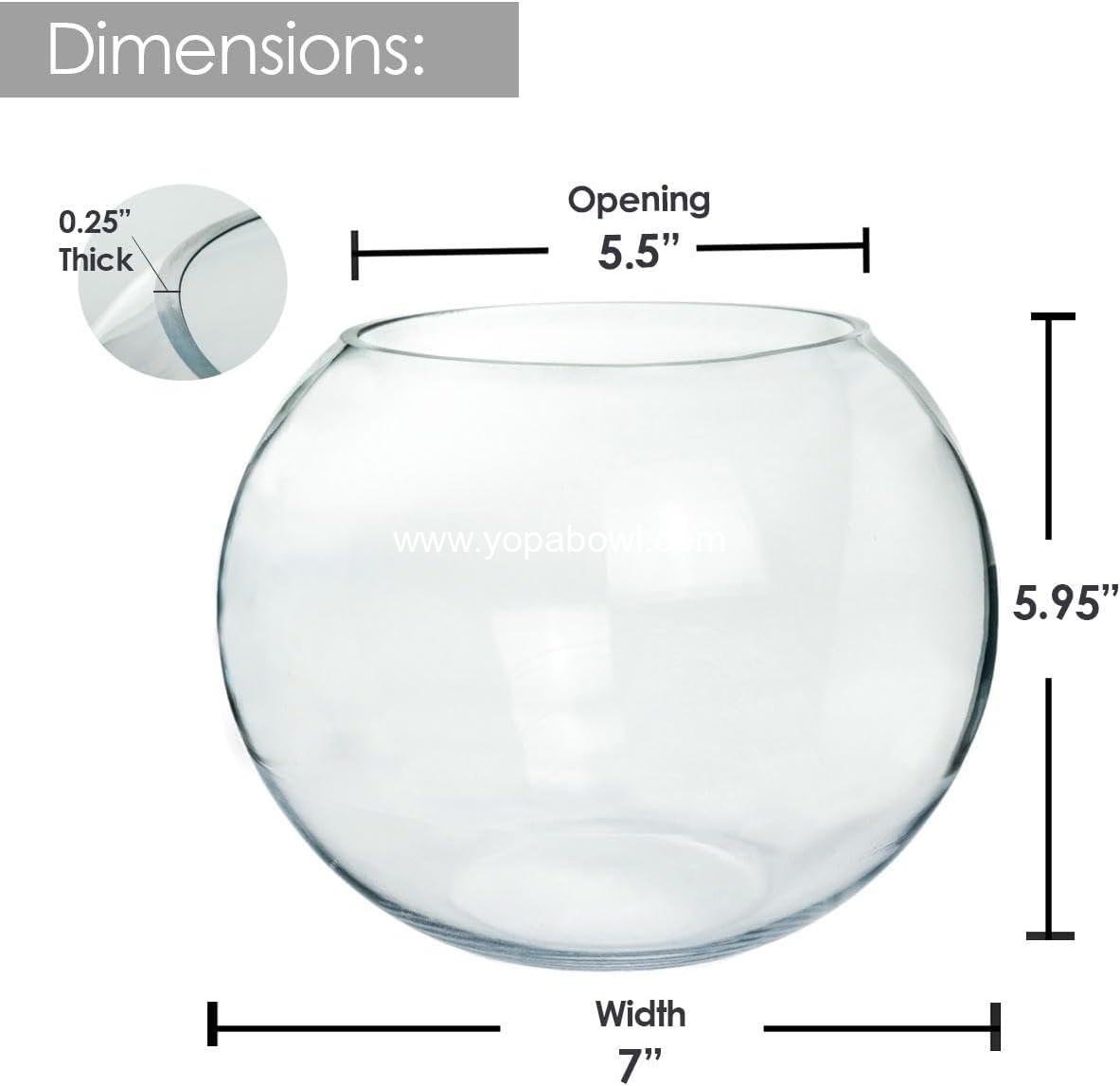 Wholesale Glass Bubble Bowl Vase, 6