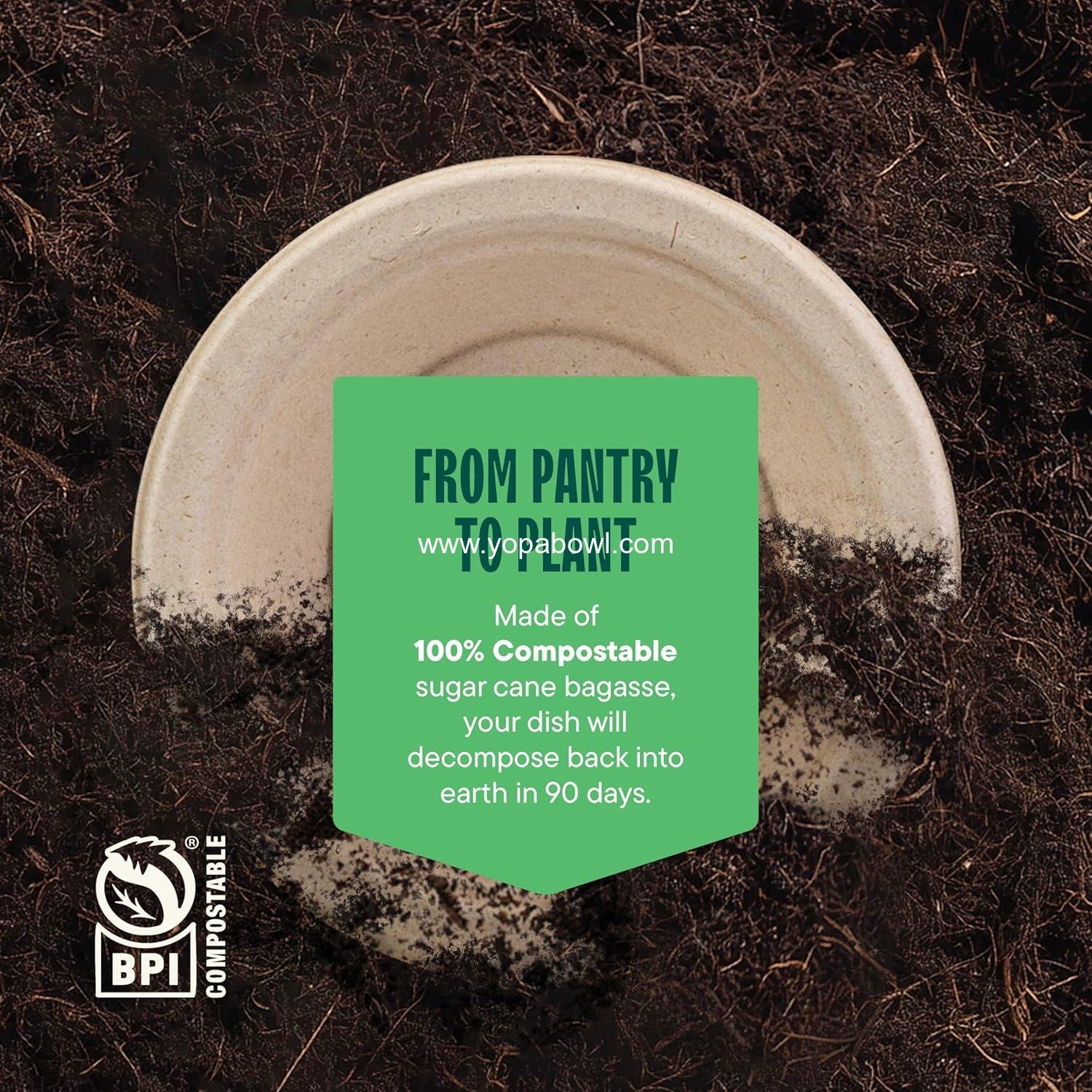 Wholesale 100% Compostable Disposable Paper Bowls [125-Pack] - PFAS-Free - BPI Certified - Heavy Duty 16 oz Eco-Friendly Biodegradable Bagasse Hot Food Plates - Natural Brown Factory