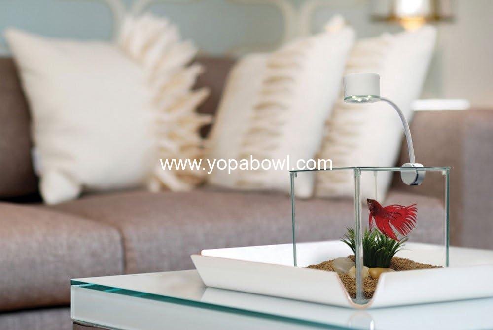 Wholesale Elegant Glass Betta Aquarium Kit 5.5 Gallon for Home or Office Factory Wholesale Elegant Glass Betta Aquarium Kit 5.5 Gallon for Home or Office Factory