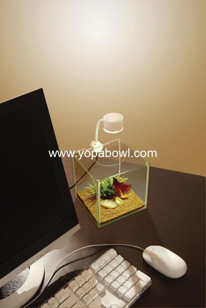 Wholesale Elegant Glass Betta Aquarium Kit 5.5 Gallon for Home or Office Factory Wholesale Elegant Glass Betta Aquarium Kit 5.5 Gallon for Home or Office Factory