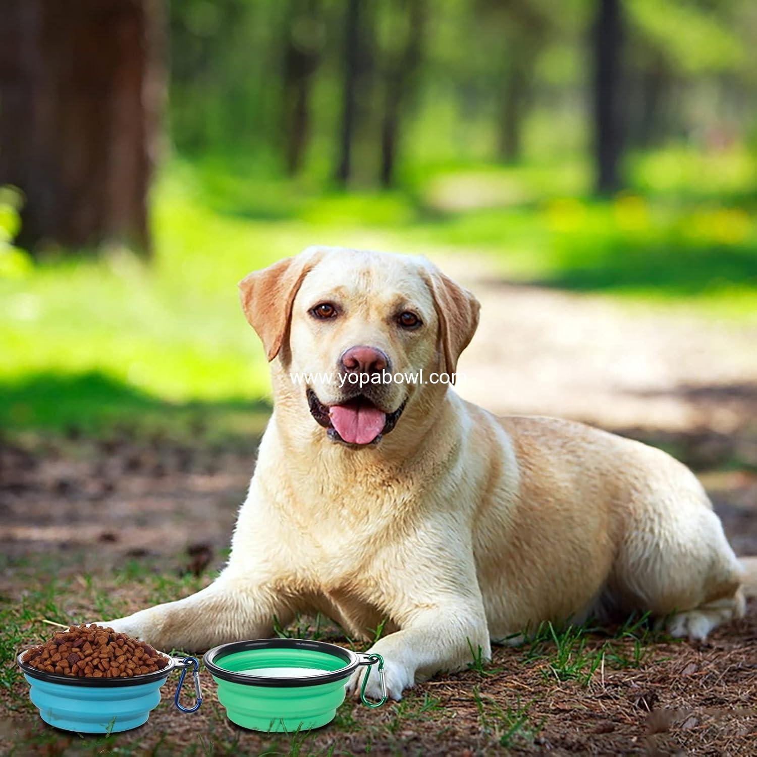 Wholesale Collapsible Pet Bowls with Lids, 2 Pack Portable and Foldable Travel Dishes for Dogs and Cats, Light Blue and Green, Small - Factory