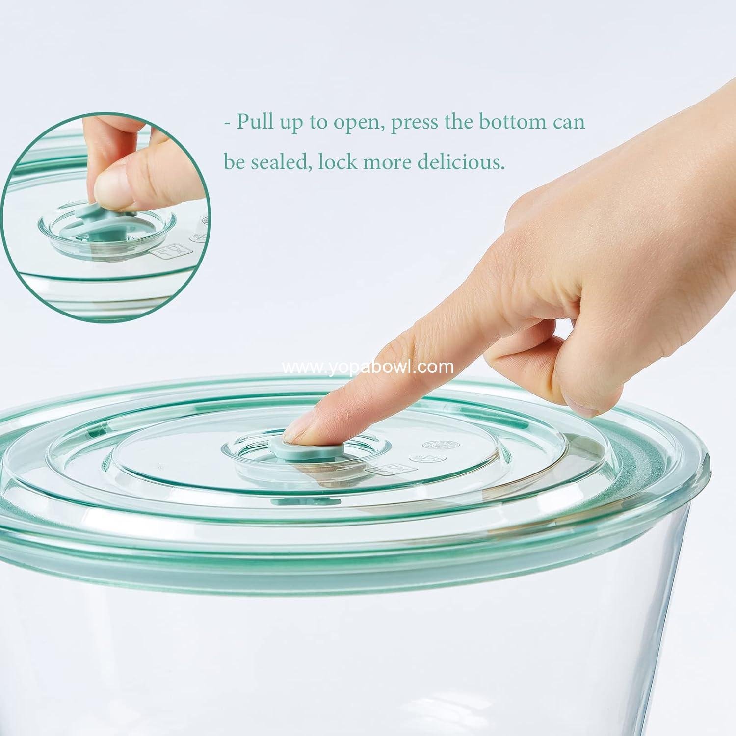 Wholesale 2-in-1 Trifle Bowl with Lid, Large Trifle Dish for Layered Desserts and Salads, 12-inch Size, Manufacturer