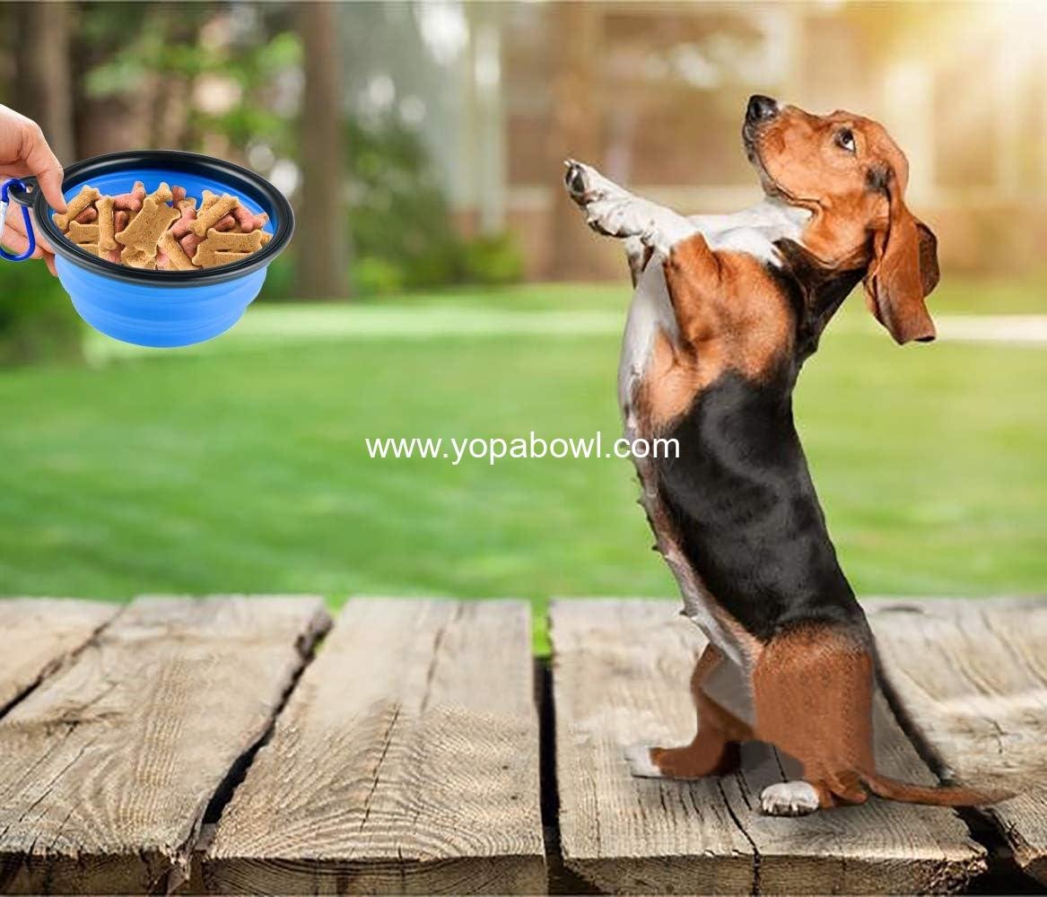 Wholesale Collapsible Silicone Dog Bowl, Foldable and Expandable Pet Dish for Small Dogs and Cats, Travel-Friendly Food and Water Bowl, Portable Feeding Solution - Factory
