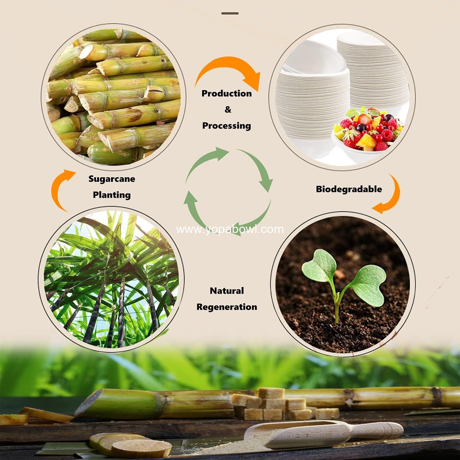 Wholesale 100 Pack 8 oz Compostable Bagasse Bowls, Biodegradable Heavy-Duty Bowls for Hot and Cold Food - Factory