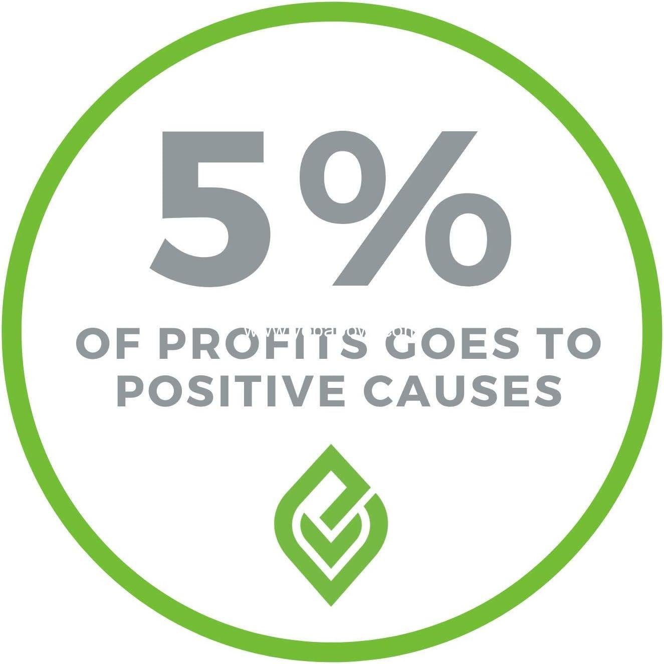 Wholesale 100% Compostable Paper Bowls [16 oz.] – 150 Eco-Friendly Disposable Bowls, Sturdy Liquid and Heat Resistant Alternative to Plastic or Paper Bowls Factory