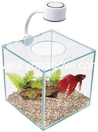 Wholesale Elegant Glass Betta Aquarium Kit 5.5 Gallon for Home or Office Factory Wholesale Elegant Glass Betta Aquarium Kit 5.5 Gallon for Home or Office Factory