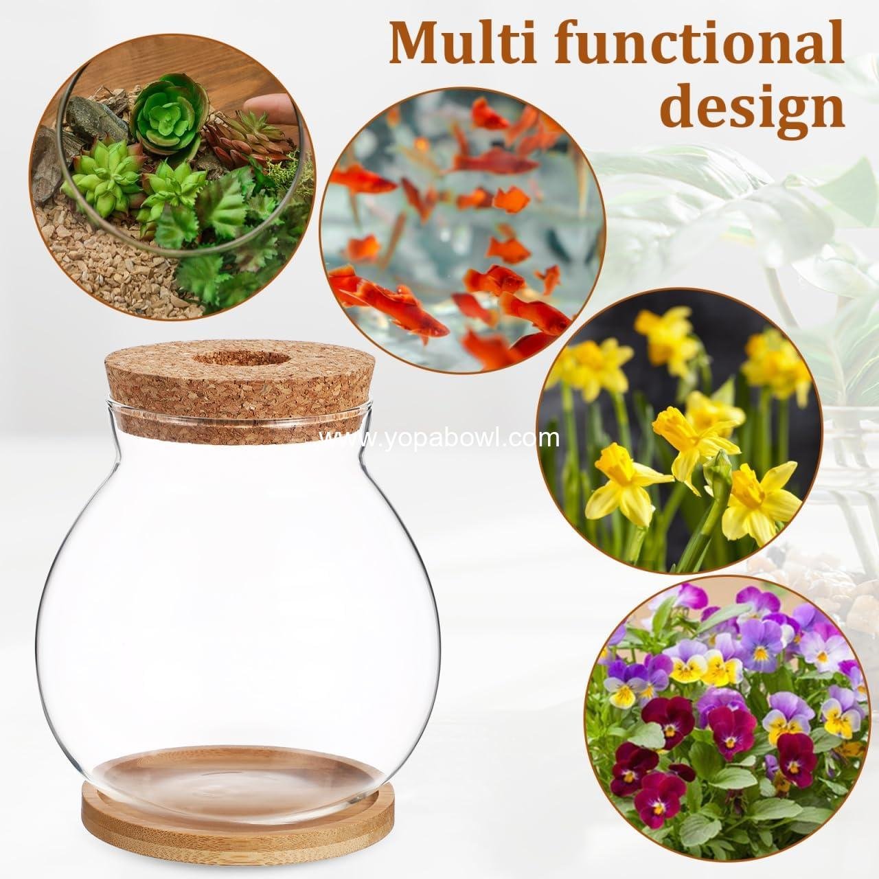 Wholesale Clear Glass Hydroponic Fish Bowl with Bamboo Cushion and Wood Lid, Small Betta Fish Plants Terrarium for Home and Office Plant Decoration - Factory Wholesale Clear Glass Hydroponic Fish Bowl with Bamboo Cushion and Wood Lid, Small Betta Fish Plants Terrarium for Home and Office Plant Decoration - Factory
