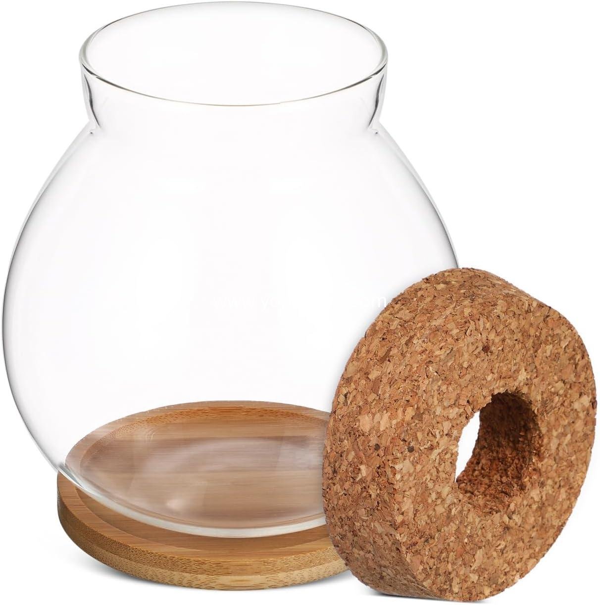 Wholesale Clear Glass Hydroponic Fish Bowl with Bamboo Cushion and Wood Lid, Small Betta Fish Plants Terrarium for Home and Office Plant Decoration - Factory Wholesale Clear Glass Hydroponic Fish Bowl with Bamboo Cushion and Wood Lid, Small Betta Fish Plants Terrarium for Home and Office Plant Decoration - Factory