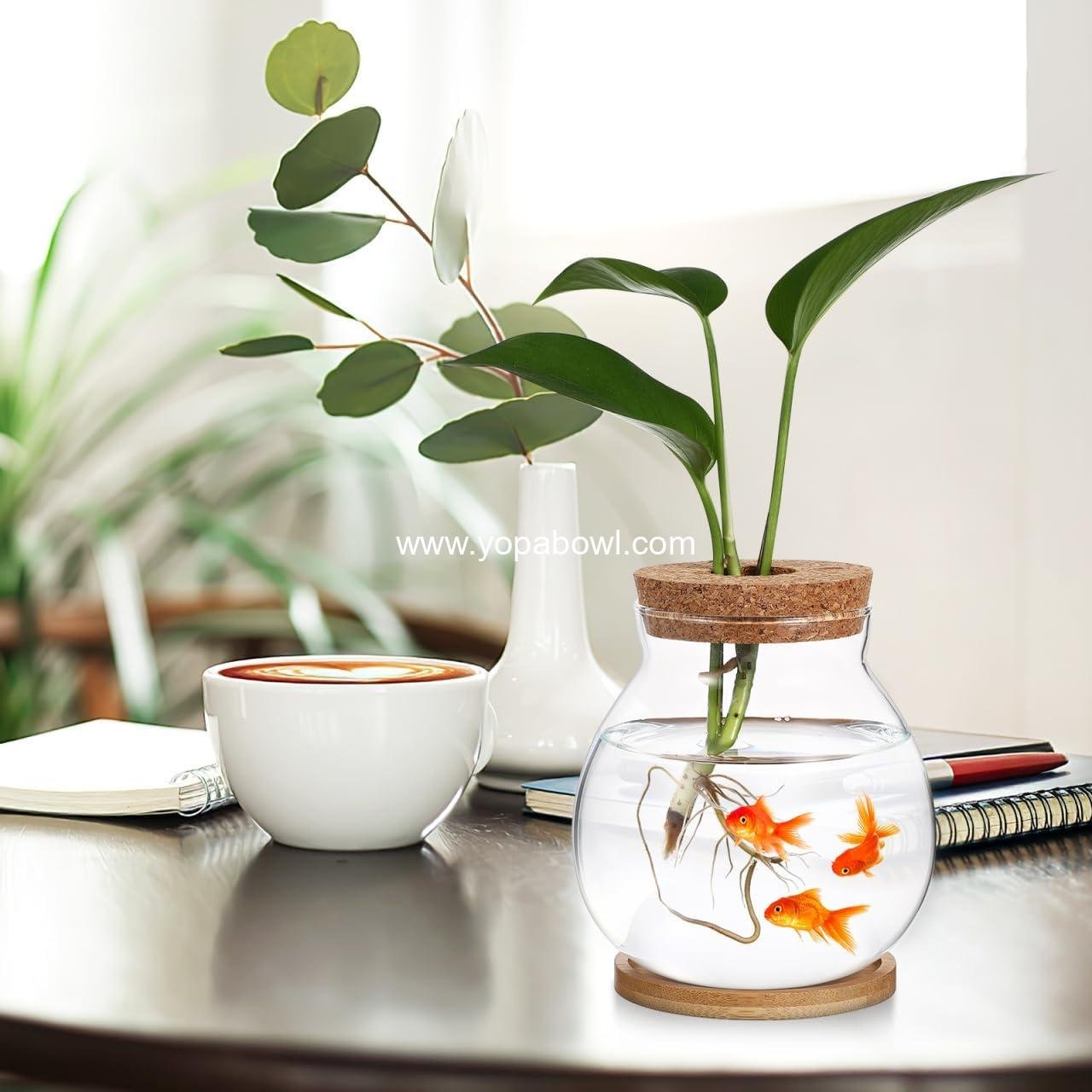 Wholesale Clear Glass Hydroponic Fish Bowl with Bamboo Cushion and Wood Lid, Small Betta Fish Plants Terrarium for Home and Office Plant Decoration - Factory Wholesale Clear Glass Hydroponic Fish Bowl with Bamboo Cushion and Wood Lid, Small Betta Fish Plants Terrarium for Home and Office Plant Decoration - Factory