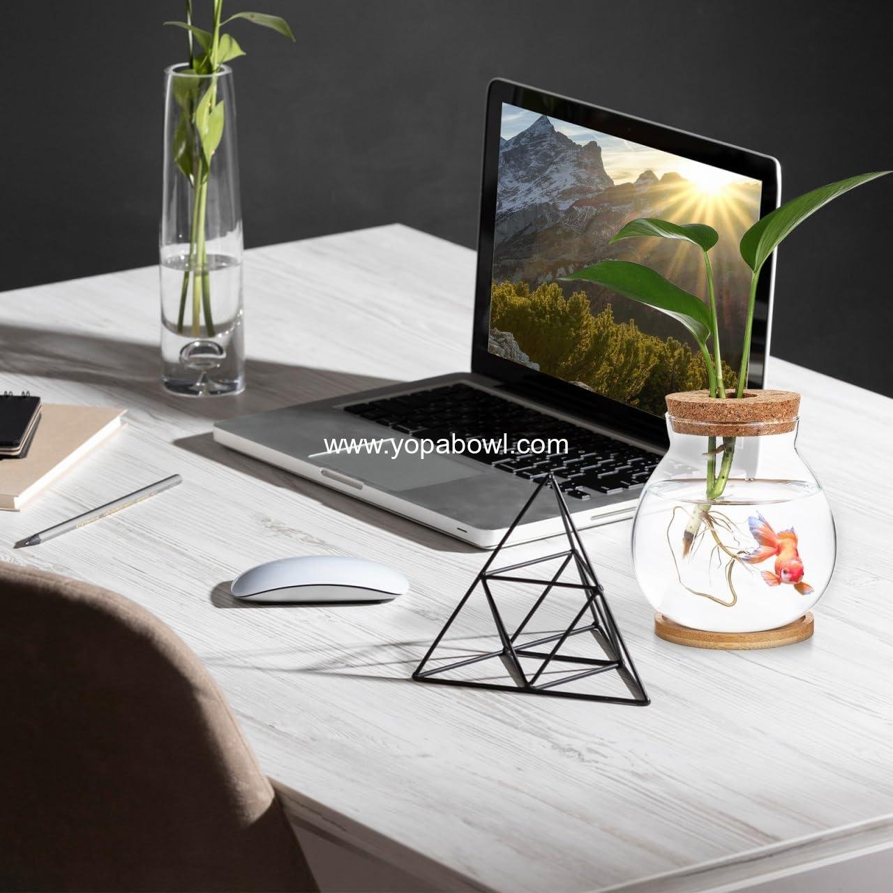 Wholesale Clear Glass Hydroponic Fish Bowl with Bamboo Cushion and Wood Lid, Small Betta Fish Plants Terrarium for Home and Office Plant Decoration - Factory Wholesale Clear Glass Hydroponic Fish Bowl with Bamboo Cushion and Wood Lid, Small Betta Fish Plants Terrarium for Home and Office Plant Decoration - Factory