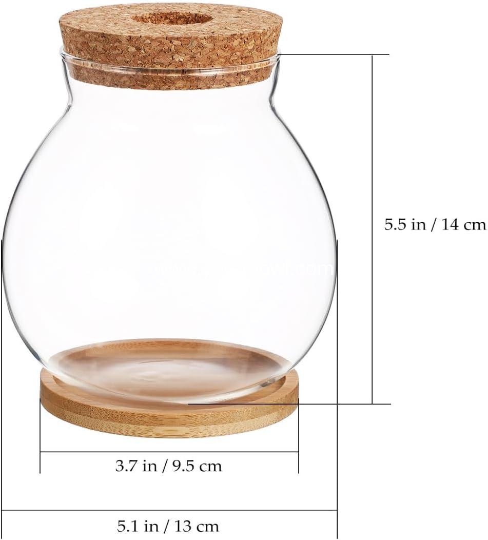 Wholesale Clear Glass Hydroponic Fish Bowl with Bamboo Cushion and Wood Lid, Small Betta Fish Plants Terrarium for Home and Office Plant Decoration - Factory Wholesale Clear Glass Hydroponic Fish Bowl with Bamboo Cushion and Wood Lid, Small Betta Fish Plants Terrarium for Home and Office Plant Decoration - Factory