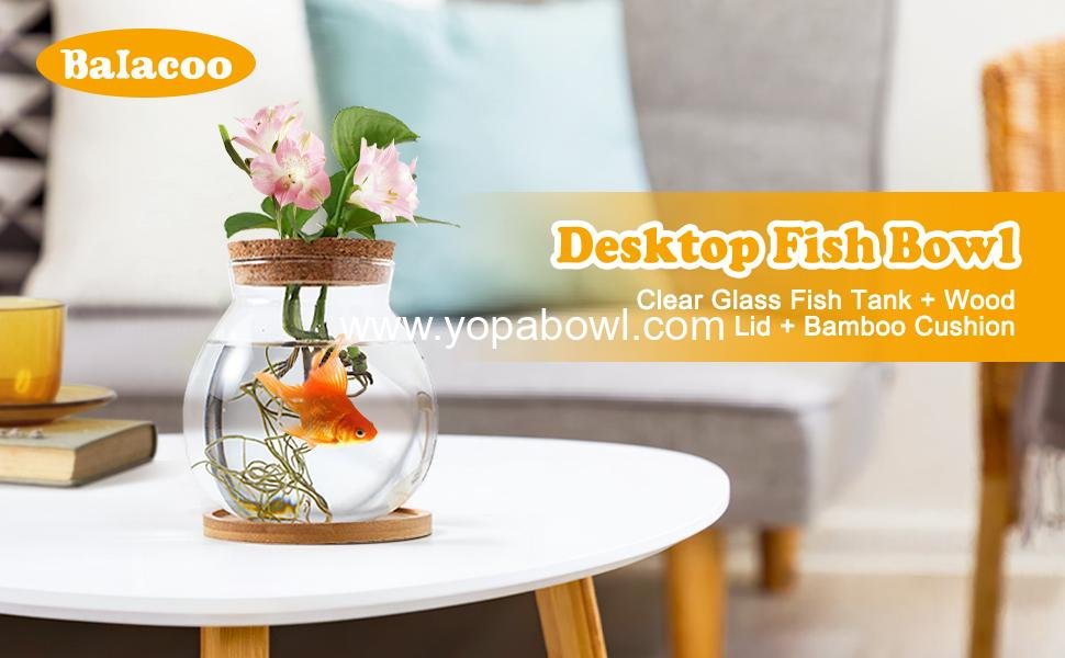 Wholesale Clear Glass Hydroponic Fish Bowl with Bamboo Cushion and Wood Lid, Small Betta Fish Plants Terrarium for Home and Office Plant Decoration - Factory Wholesale Clear Glass Hydroponic Fish Bowl with Bamboo Cushion and Wood Lid, Small Betta Fish Plants Terrarium for Home and Office Plant Decoration - Factory