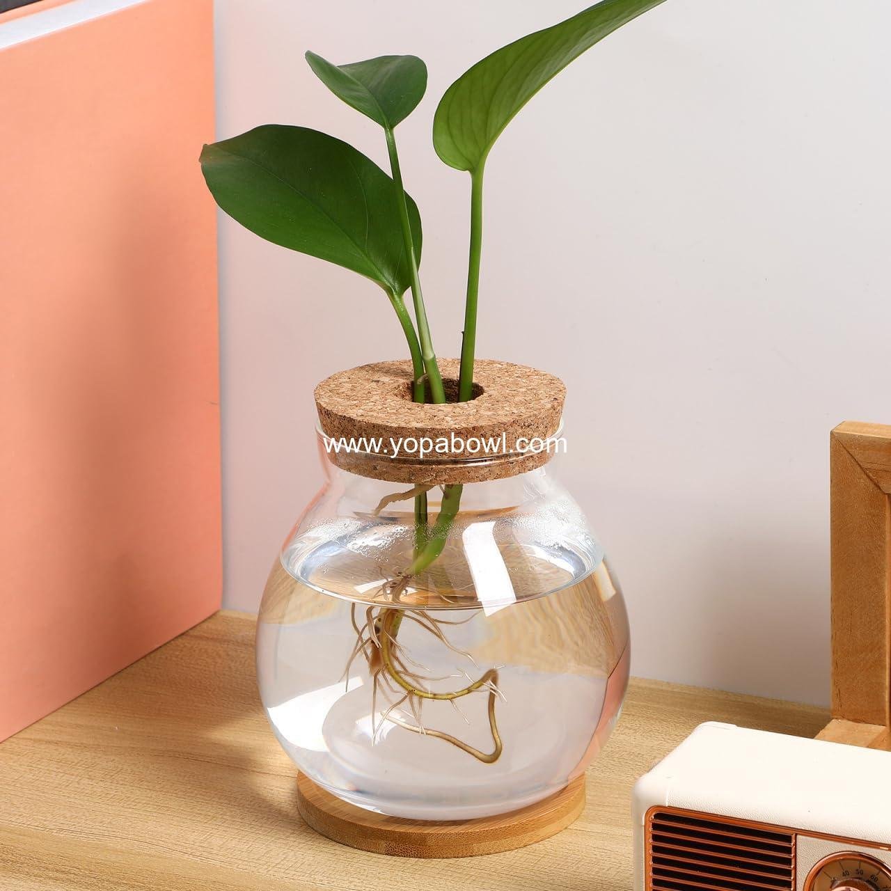 Wholesale Clear Glass Hydroponic Fish Bowl with Bamboo Cushion and Wood Lid, Small Betta Fish Plants Terrarium for Home and Office Plant Decoration - Factory Wholesale Clear Glass Hydroponic Fish Bowl with Bamboo Cushion and Wood Lid, Small Betta Fish Plants Terrarium for Home and Office Plant Decoration - Factory