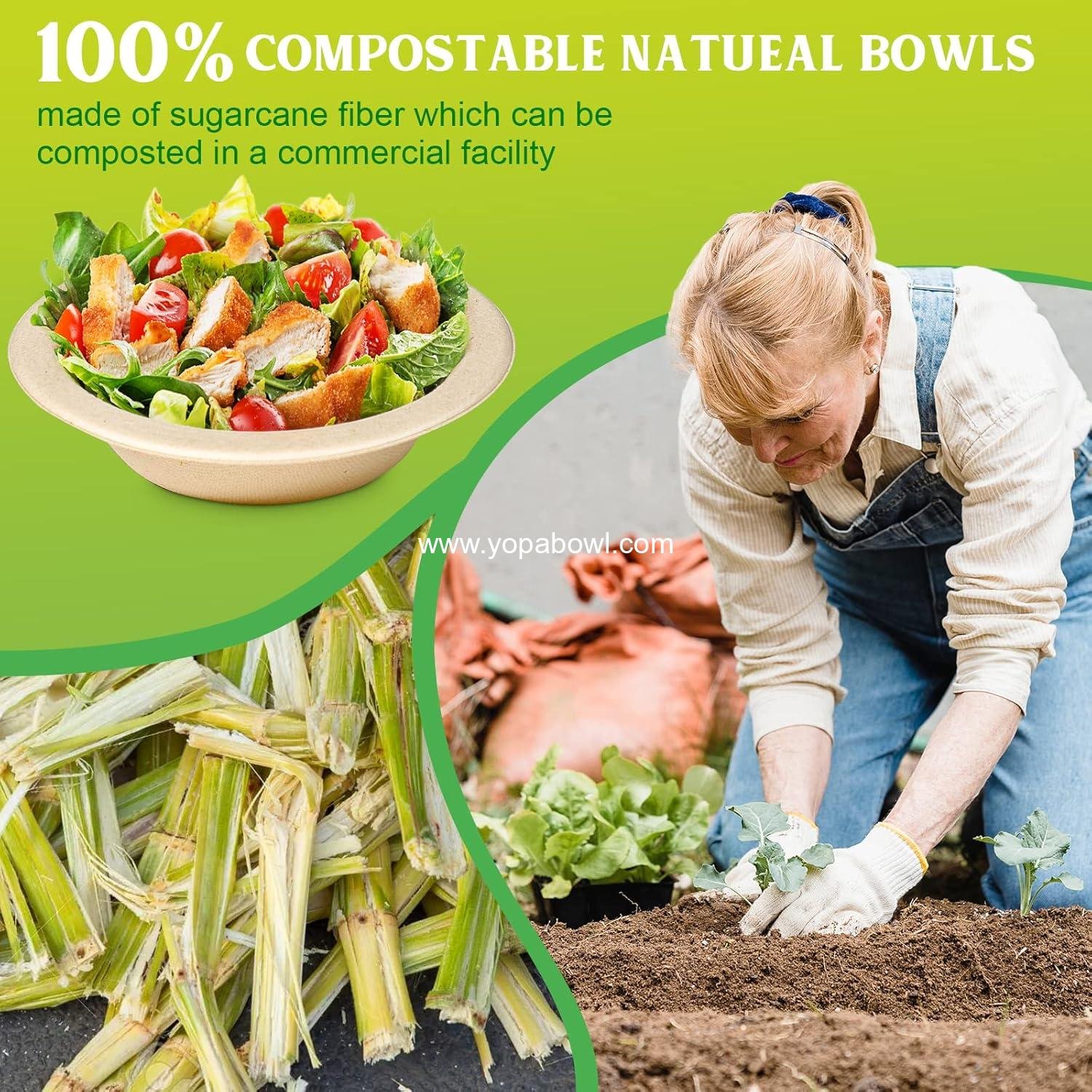 Wholesale 16oz Paper Bowls - 200 Pack Disposable, Heavy Duty, Compostable & Biodegradable, Microwavable for Soup, Salad, Ice Cream Factory Wholesale 16oz Paper Bowls - 200 Pack Disposable, Heavy Duty, Compostable & Biodegradable, Microwavable for Soup, Salad, Ice Cream Factory
