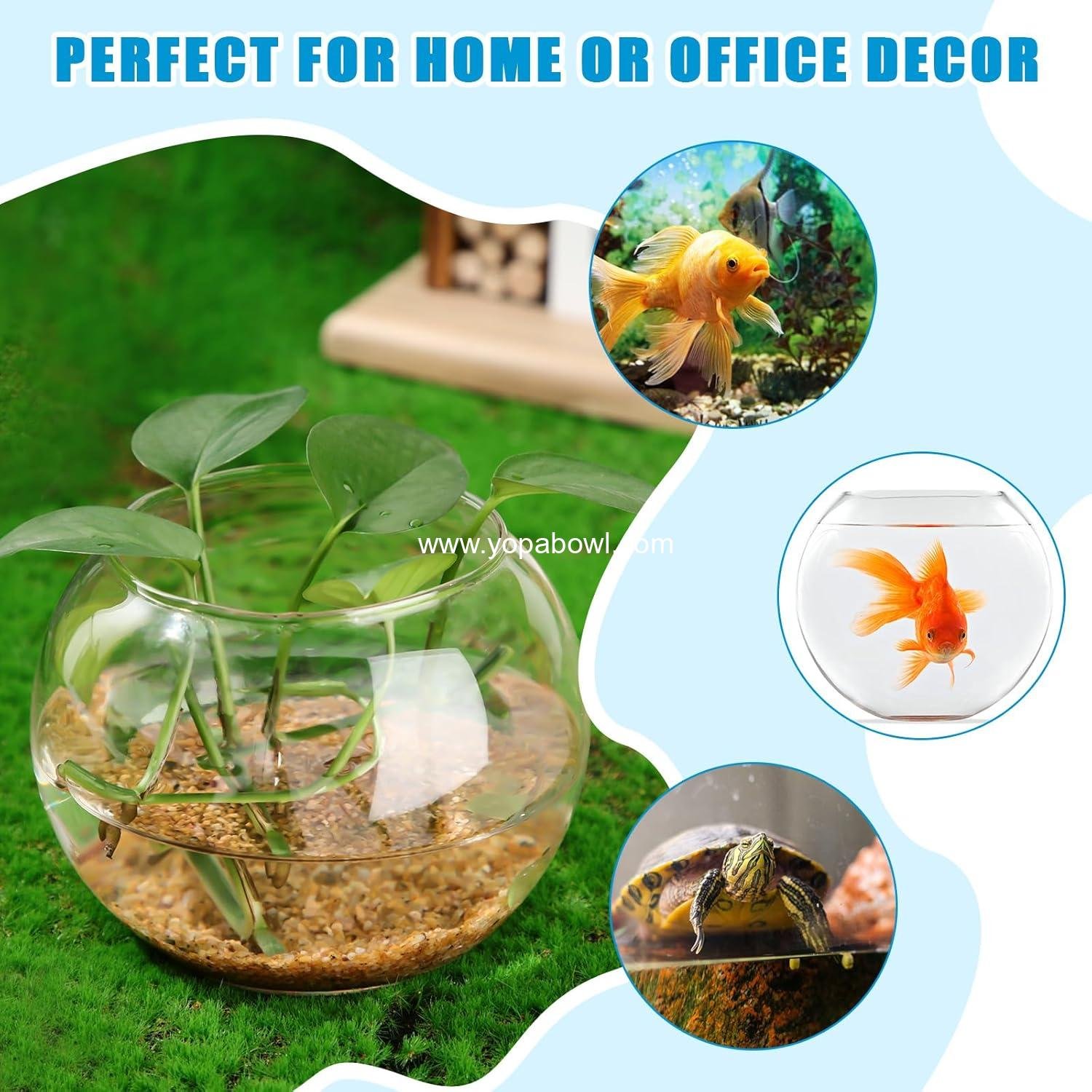 Wholesale 24 Pcs Fish Bowl Glass Bubble Vases Round Terrarium for Goldfish and Flower Centerpieces, 3.5 Wholesale 24 Pcs Fish Bowl Glass Bubble Vases Round Terrarium for Goldfish and Flower Centerpieces, 3.5