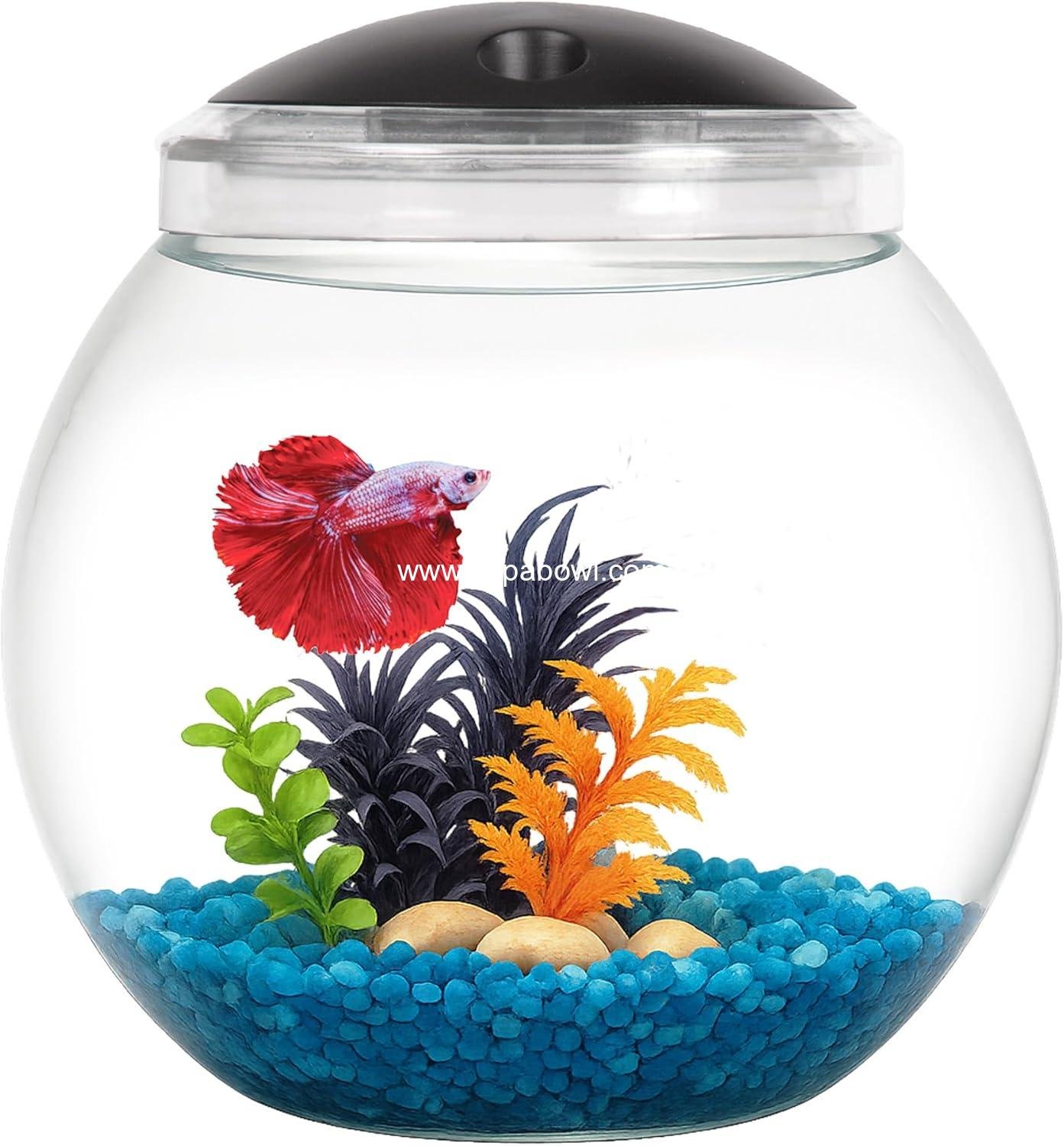 Koller Products 1-Gallon Globe Fish Bowl, Impact- Resistant Plastic Aquarium Starter Kit with LED Lighting, Built-in Timer, Crystal-Clear Clarity, Desktop Fish Tank for Home Décor