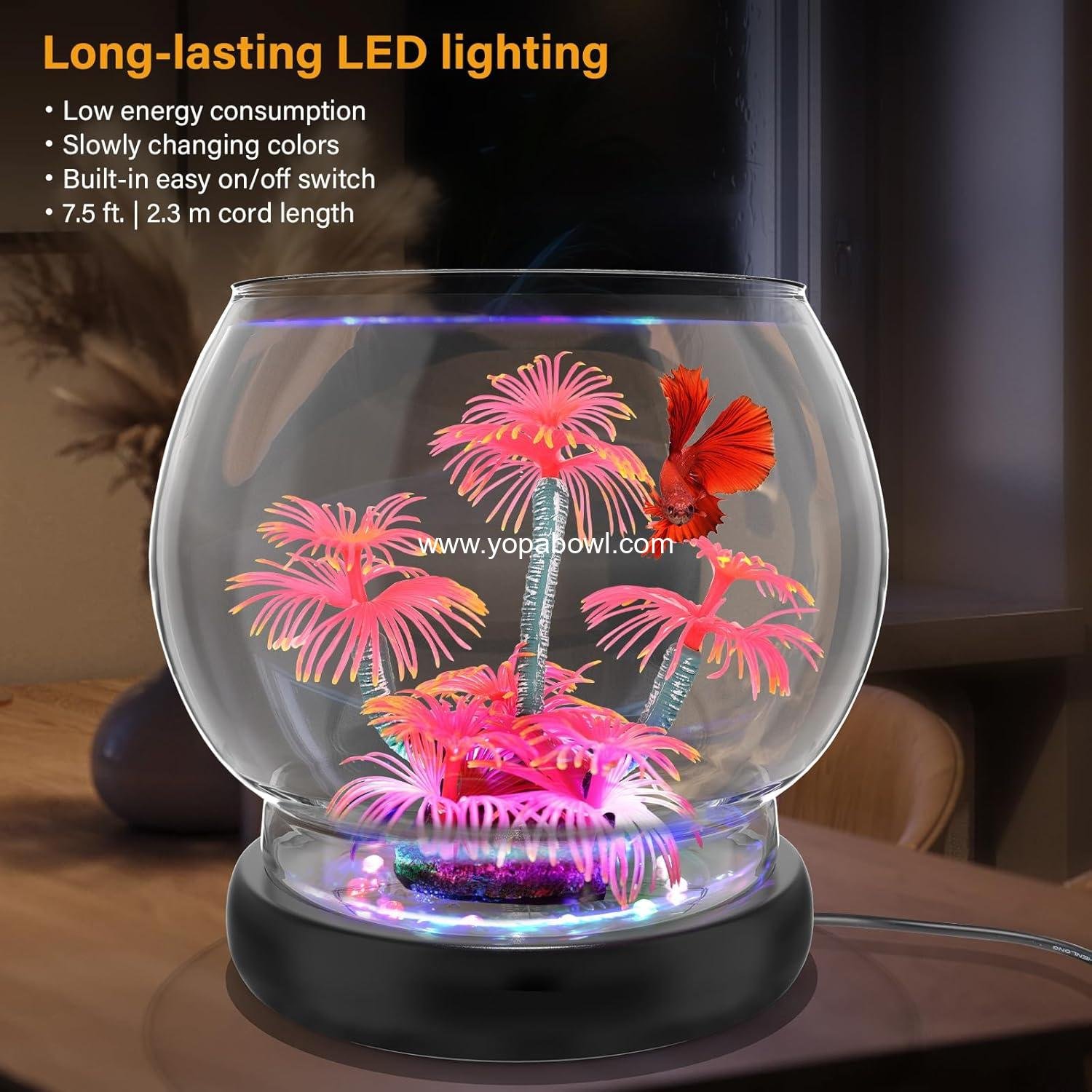 Wholesale 0.5 Gallon/1 Gallon Glass Fish Bowl with LED Light and Decor, Small Round Betta and Goldfish Tank, Clear Unbreakable Aquarium/Vase for Hydroponics and Terrariums, Nice Centerpiece Factory Wholesale 0.5 Gallon/1 Gallon Glass Fish Bowl with LED Light and Decor, Small Round Betta and Goldfish Tank, Clear Unbreakable Aquarium/Vase for Hydroponics and Terrariums, Nice Centerpiece Factory