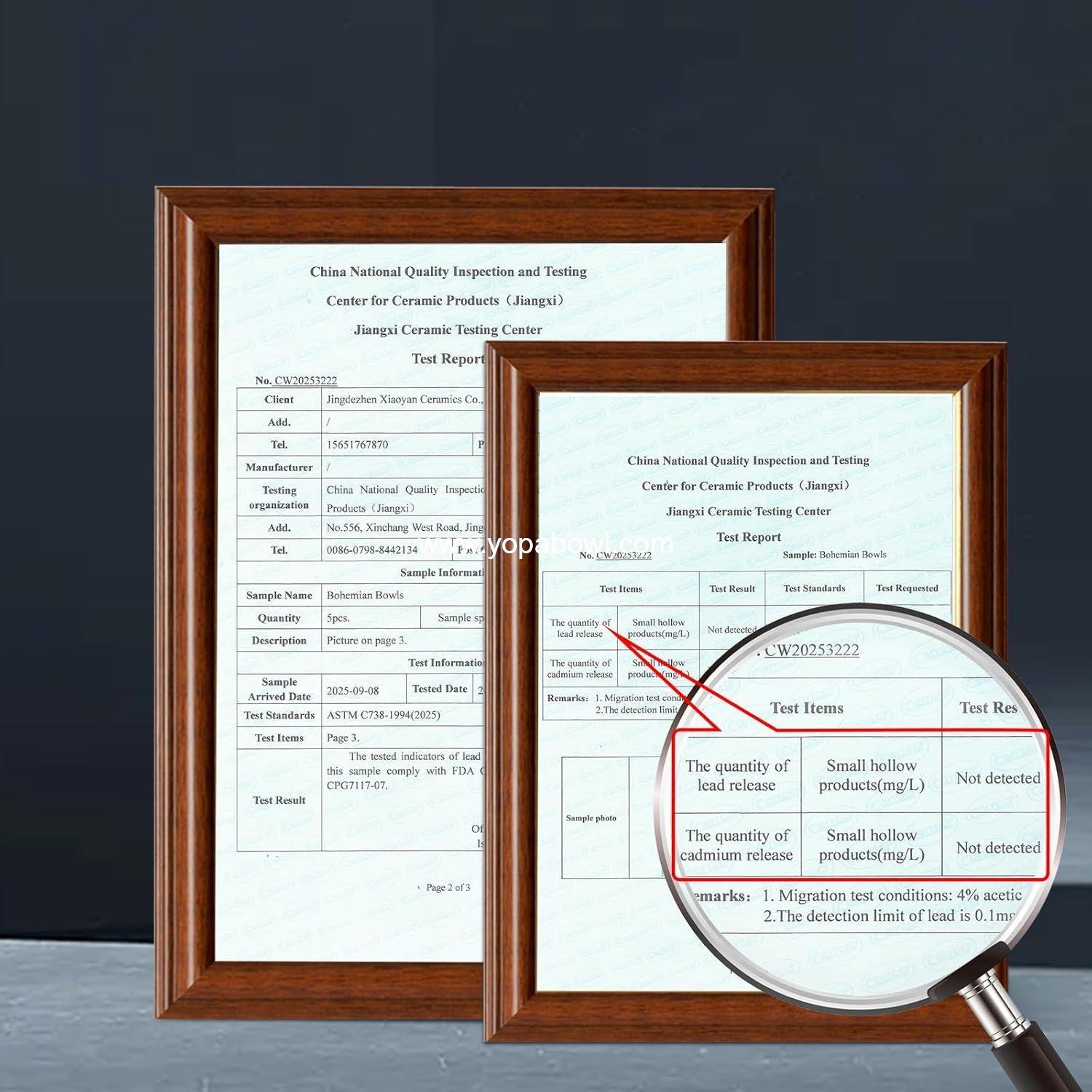 Wholesale 24 Oz Ceramic Pasta Bowls Set of 4, 8 Inch Colorful Serving Bowls for Pasta, Salad, Oatmeal, and Fruit, Easy to Clean, Dishwasher & Microwave Safe, Scratch-Resistant, Lead-Free Factory