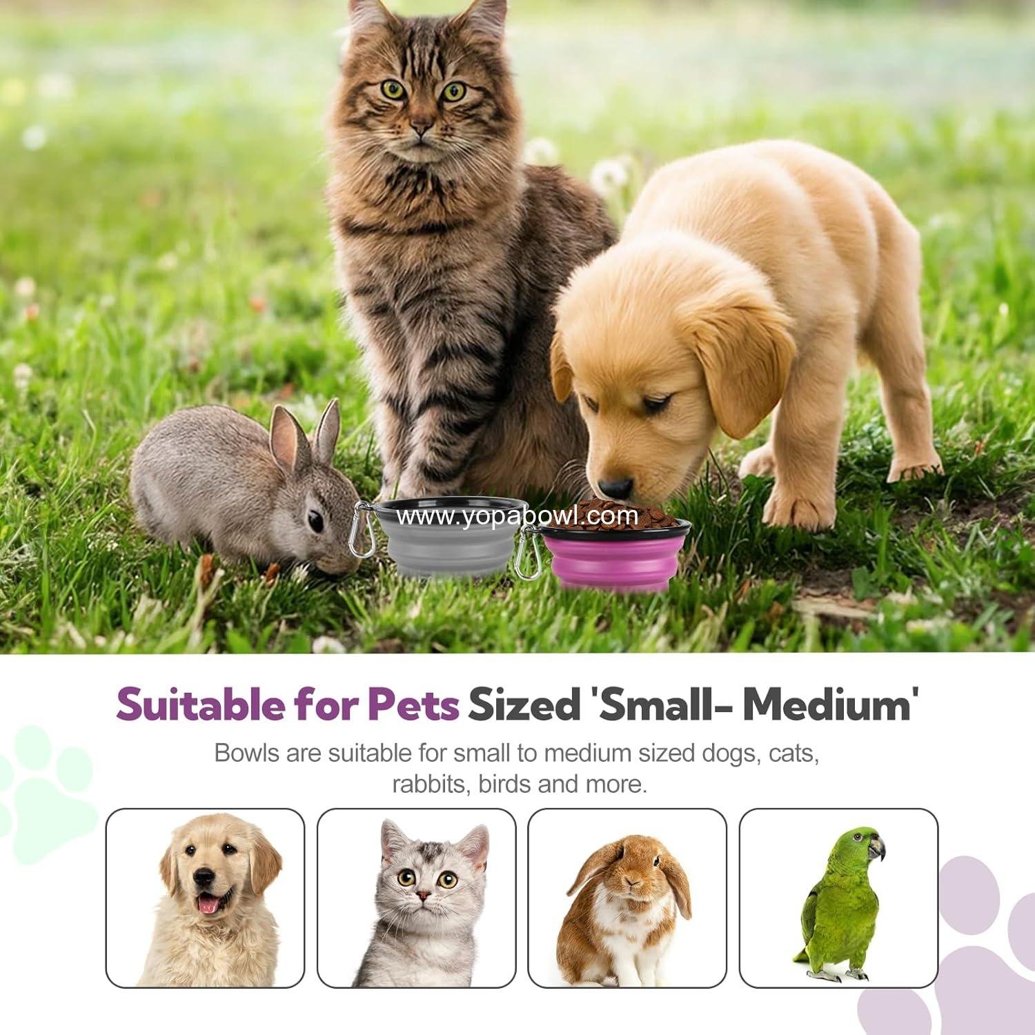 Wholesale Collapsible Dog Bowl 2 Pack - Portable 12oz Pet Water and Feeding Bowls for Travel, Camping, and Walking with 2 Carabiners Clip - Small Grey and Purple - Factory