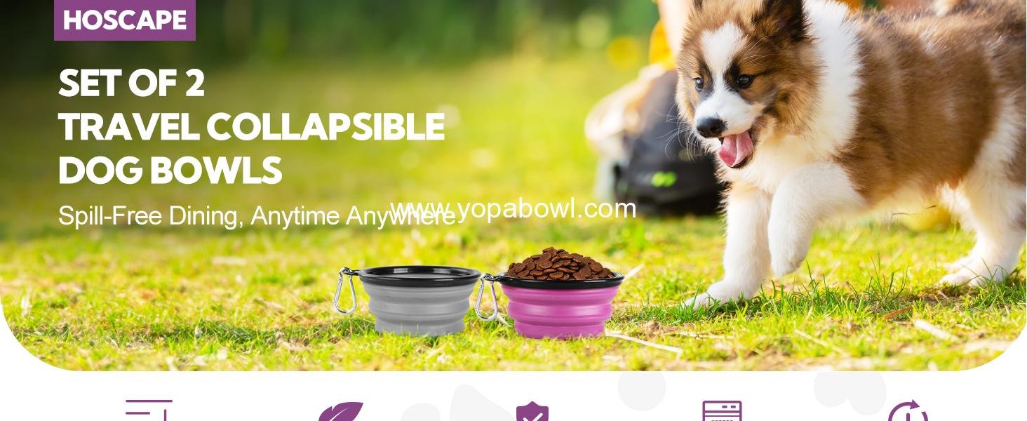 Wholesale Collapsible Dog Bowl 2 Pack - Portable 12oz Pet Water and Feeding Bowls for Travel, Camping, and Walking with 2 Carabiners Clip - Small Grey and Purple - Factory