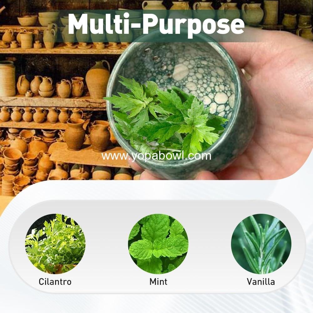 Wholesale Pottery Herb Stripper Bowl 2025 Upgrade Ceramic Peeling Cup with Various Round Hole Sizes for Leafy Assembly - Factory