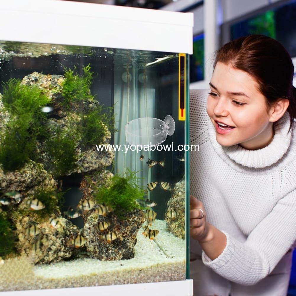 Wholesale 4Pcs Fish Tank Feeder Dishes 7.3cm/2.9