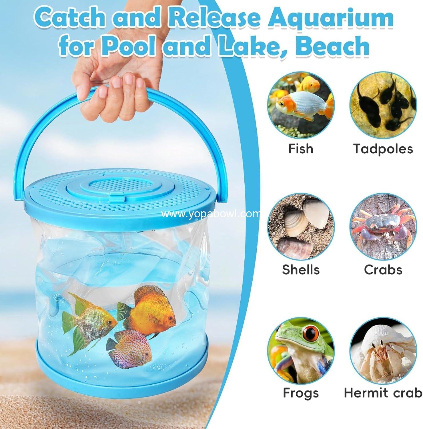 Wholesale Foldable Small Aquarium Plastic Fish Tank - Portable Clear Fish Bowl for Ocean Adventures and Beach Activities, Manufacturer