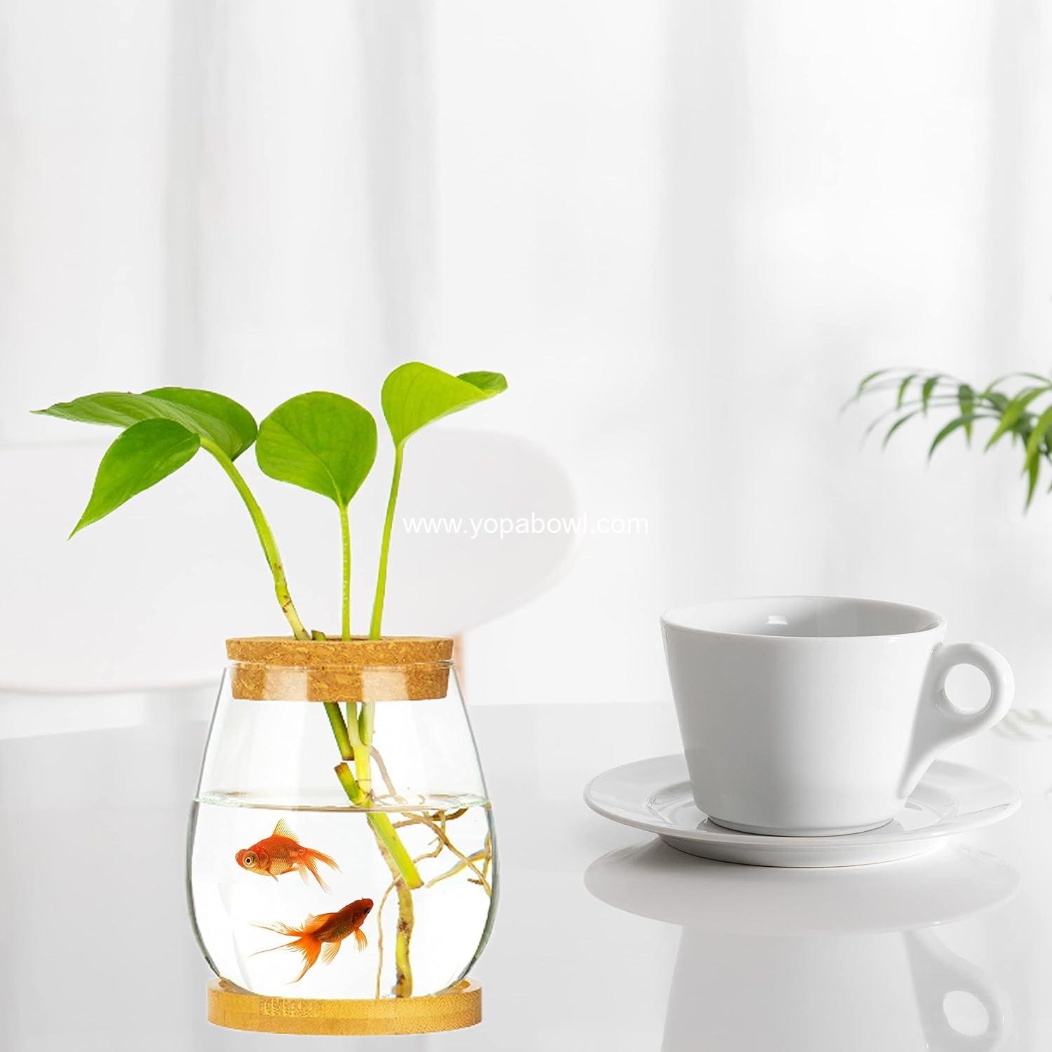 Wholesale Clear Glass Desktop Fish Bowl Small Fish Tank with Wood Lid and Bamboo Stand for Betta Fish and Plants Terrarium Home Office Decoration Gift Factory
