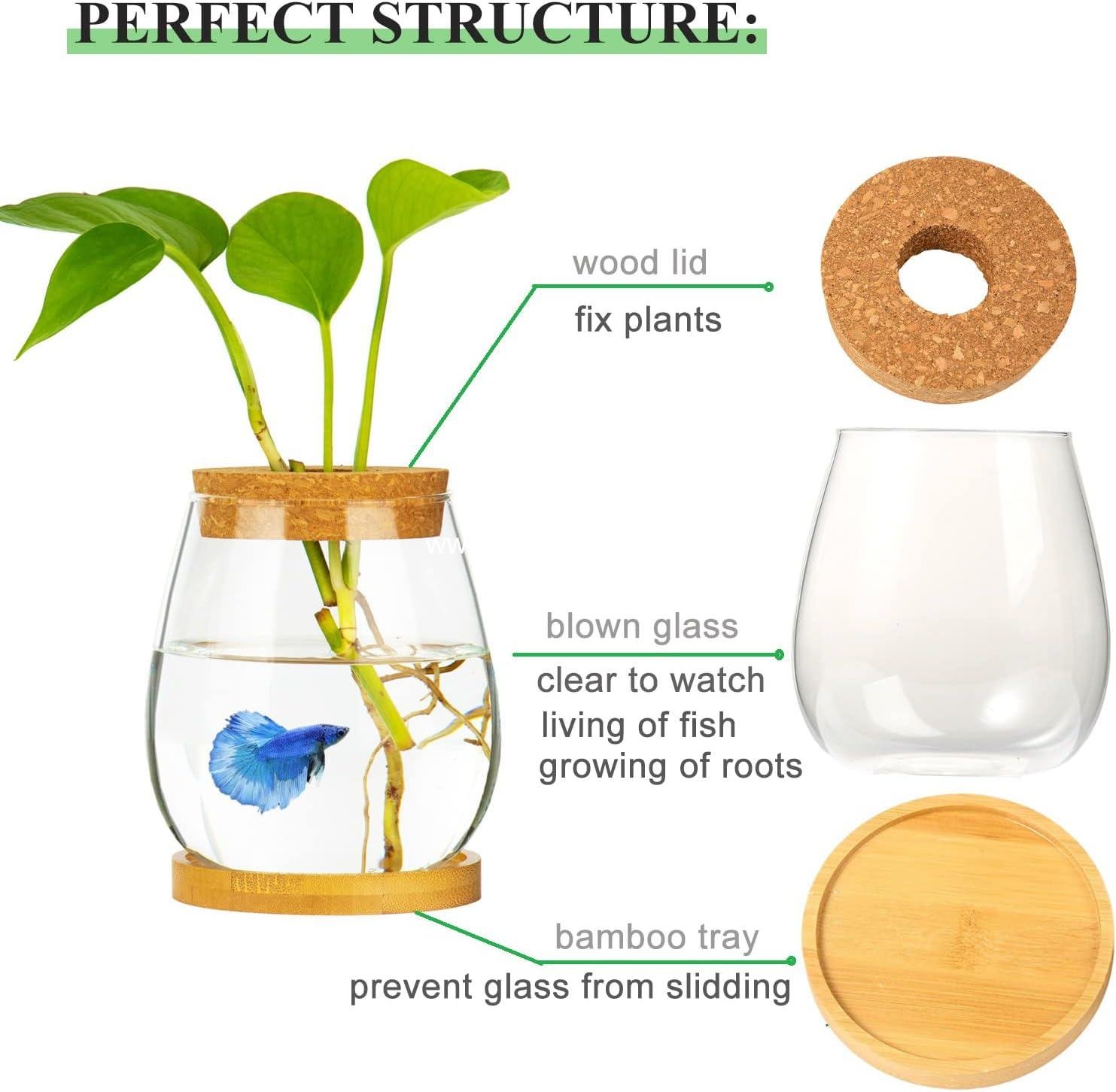 Wholesale Clear Glass Desktop Fish Bowl Small Fish Tank with Wood Lid and Bamboo Stand for Betta Fish and Plants Terrarium Home Office Decoration Gift Factory