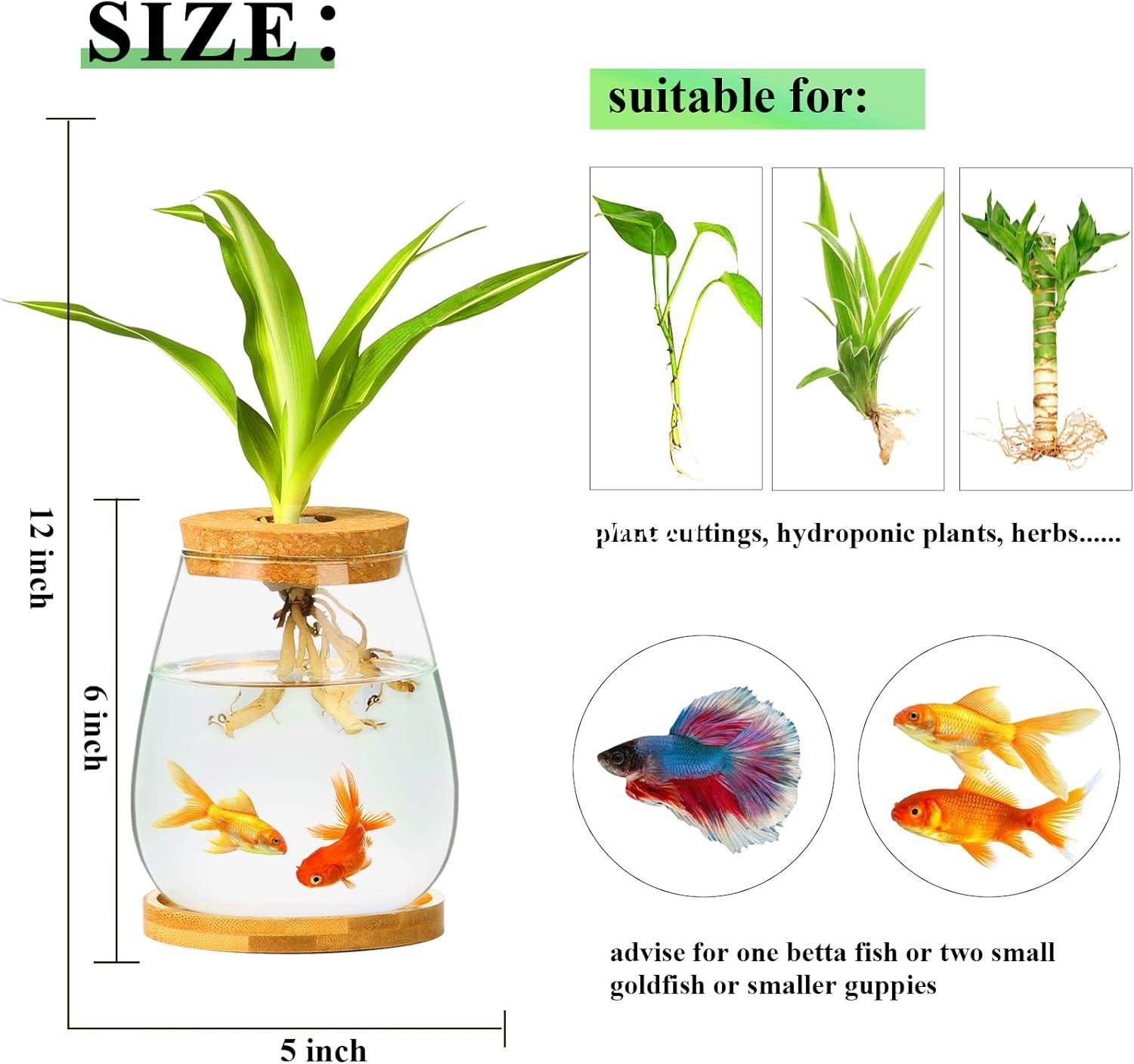 Wholesale Clear Glass Desktop Fish Bowl Small Fish Tank with Wood Lid and Bamboo Stand for Betta Fish and Plants Terrarium Home Office Decoration Gift Factory