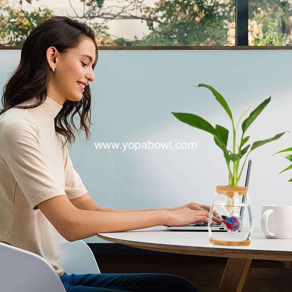 Wholesale Clear Glass Desktop Fish Bowl Small Fish Tank with Wood Lid and Bamboo Stand for Betta Fish and Plants Terrarium Home Office Decoration Gift Factory