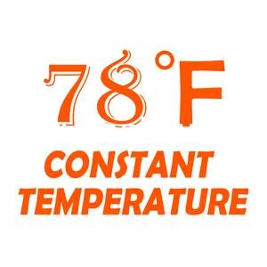 Wholesale Mini Aquarium Heater 25W Small Fish Tank Heater with Free Thermometer Sticker - Factory Wholesale Mini Aquarium Heater 25W Small Fish Tank Heater with Free Thermometer Sticker - Factory