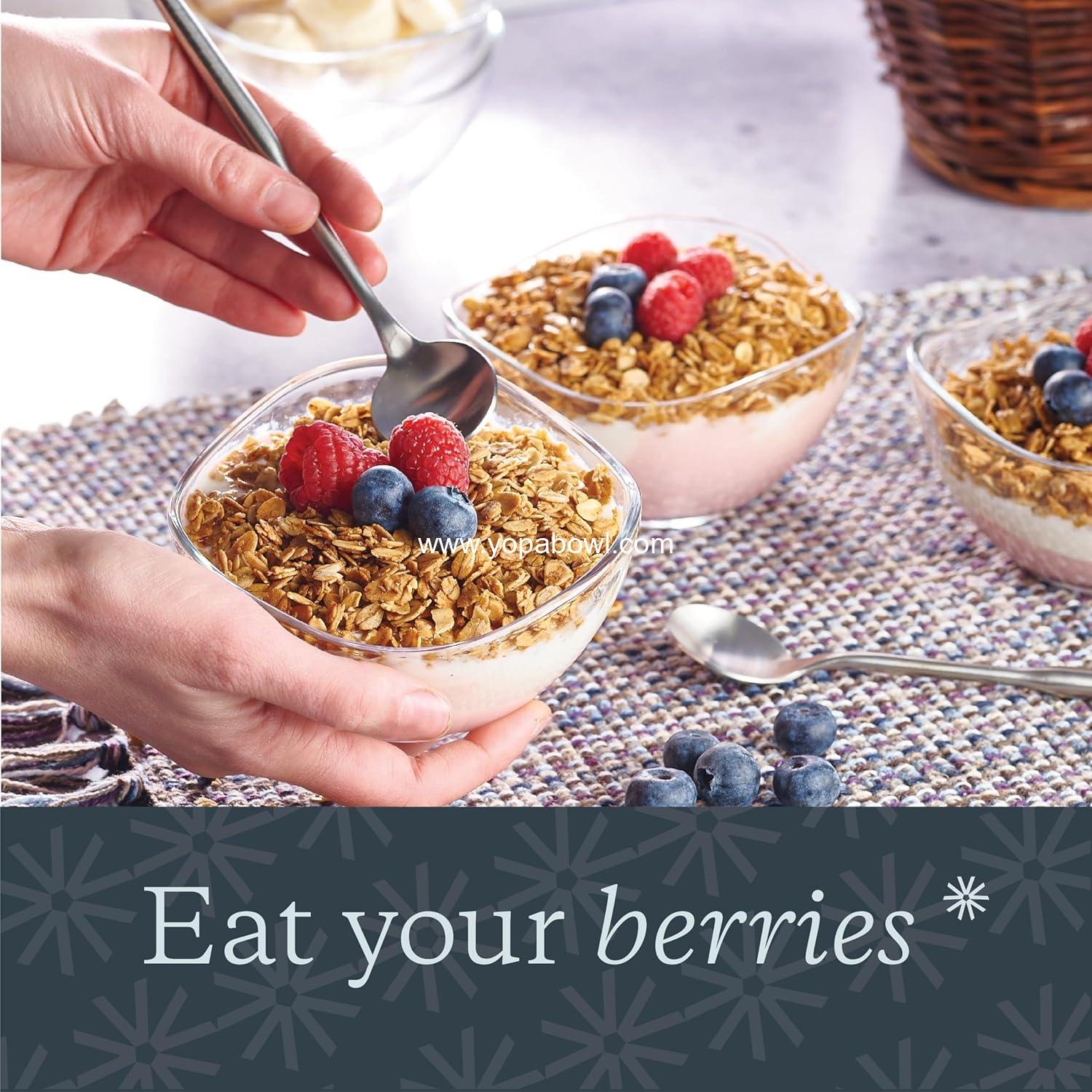 OEM Set of 12 Small Glass Dessert Bowls, 10 Ounce Ice Cream and Snack Bowls, Microwave and Dishwasher Safe - Factory