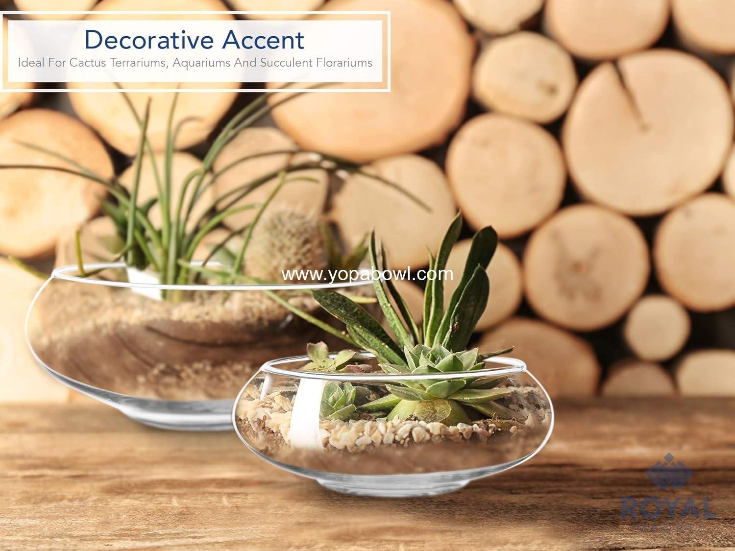 Wholesale Round Glass Vase Set of 2 – Clear Decorative Bowls for Flowers Terrariums Succulent Planters Bubble Vases Floral Centerpieces Home Wedding Flower Pots Factory Wholesale Round Glass Vase Set of 2 – Clear Decorative Bowls for Flowers Terrariums Succulent Planters Bubble Vases Floral Centerpieces Home Wedding Flower Pots Factory