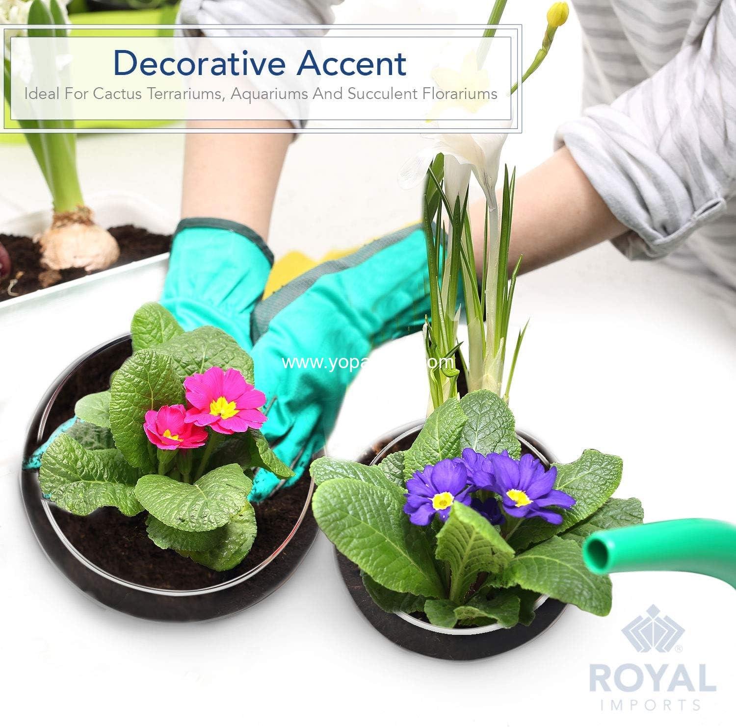 Wholesale Round Glass Vase Set of 2 – Clear Decorative Bowls for Flowers Terrariums Succulent Planters Bubble Vases Floral Centerpieces Home Wedding Flower Pots Factory Wholesale Round Glass Vase Set of 2 – Clear Decorative Bowls for Flowers Terrariums Succulent Planters Bubble Vases Floral Centerpieces Home Wedding Flower Pots Factory