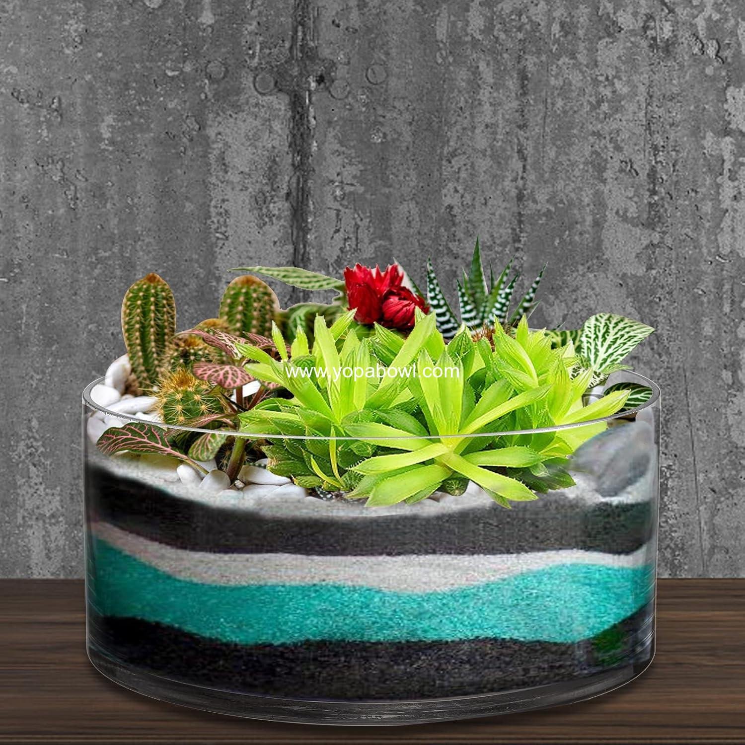 Wholesale 4 Inch Tall x 8 Inch Wide Glass Cylinder Vase Flower Terrarium Bowl Decorative Centerpiece for Weddings Events Pillar Candle Arrangements Clear Factory