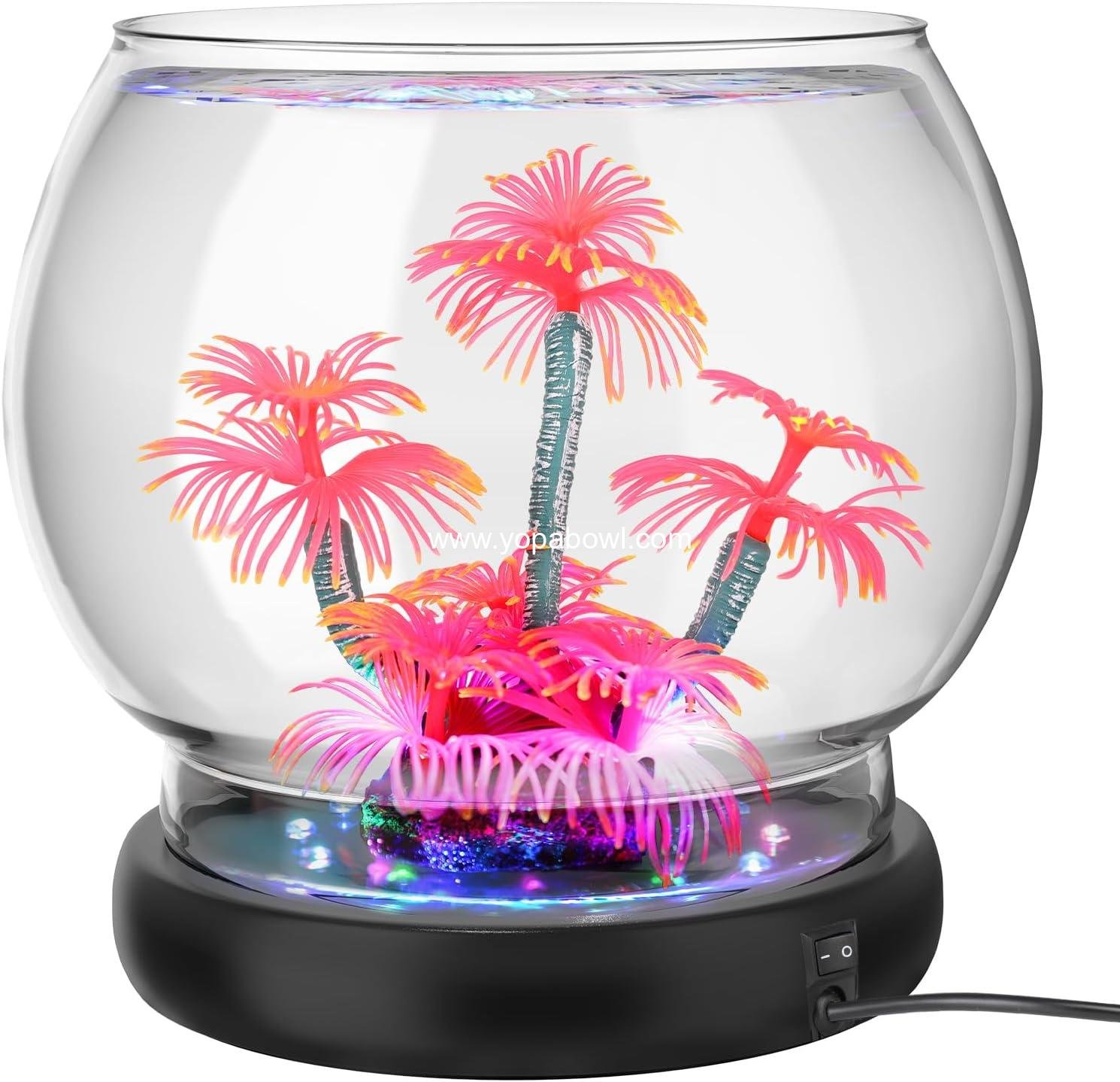 Wholesale 0.5 Gallon/1 Gallon Glass Fish Bowl with LED Light and Decor, Small Round Betta and Goldfish Tank, Clear Unbreakable Aquarium/Vase for Hydroponics and Terrariums, Nice Centerpiece Factory Wholesale 0.5 Gallon/1 Gallon Glass Fish Bowl with LED Light and Decor, Small Round Betta and Goldfish Tank, Clear Unbreakable Aquarium/Vase for Hydroponics and Terrariums, Nice Centerpiece Factory