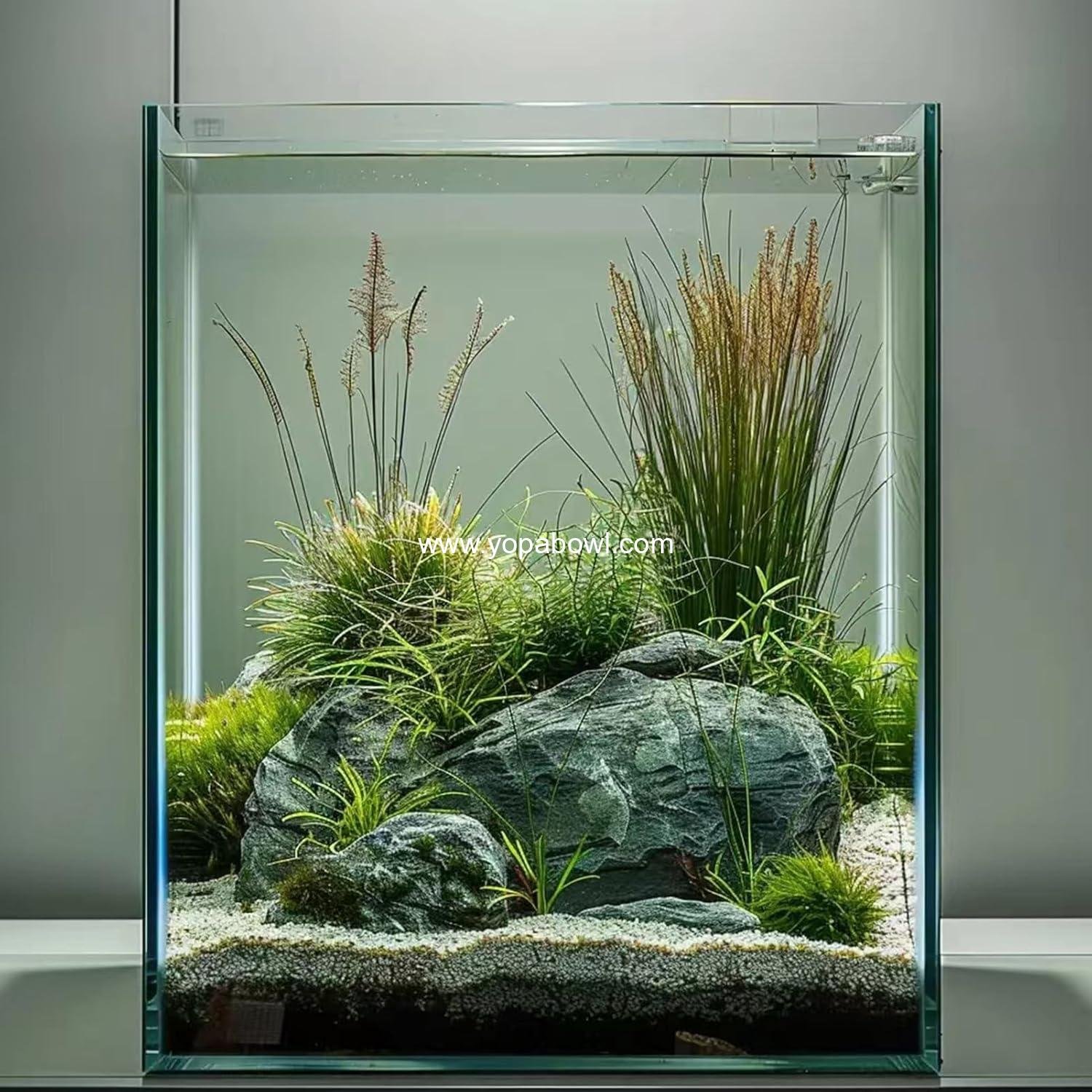 Wholesale 3 Gallon Glass Fish Tank - Easy to Maintain Aquarium for Betta, Snails, Shrimp, and Aquatic Plants Factory