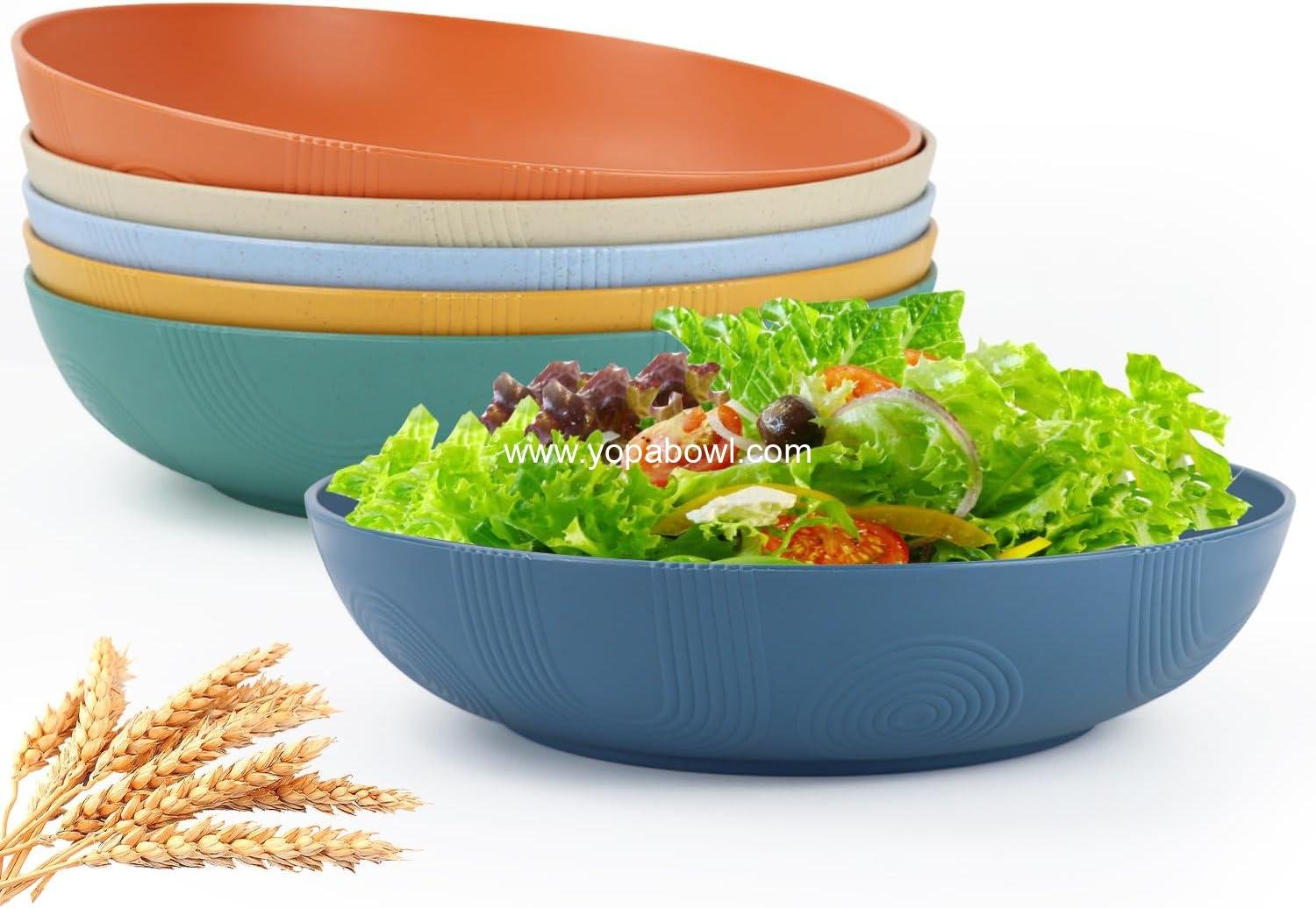 Wholesale 65 oz Salad Bowls Set of 6 - 10 inch Serving Bowls, Large Wheat Straw Plates - Dishwasher Safe Wide Shallow Bowls for Kitchen, Pasta, Noodles - Multi Color Factory
