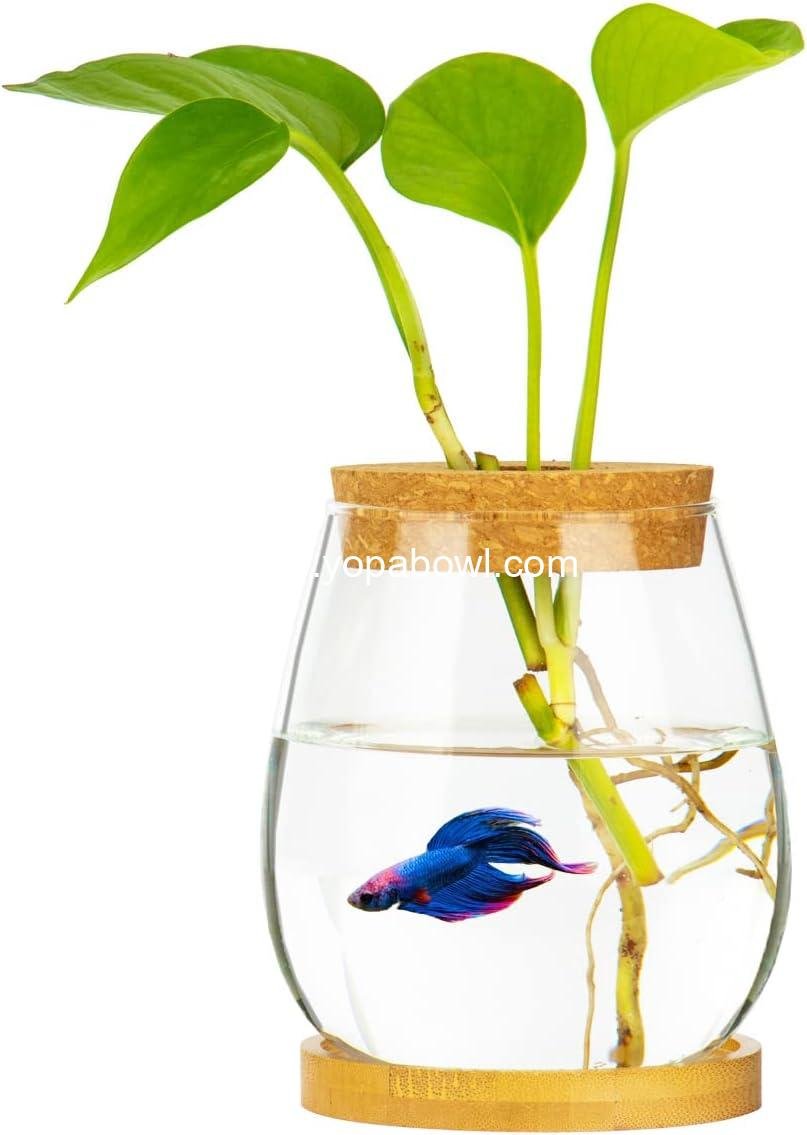 Wholesale Clear Glass Desktop Fish Bowl Small Fish Tank with Wood Lid and Bamboo Stand for Betta Fish and Plants Terrarium Home Office Decoration Gift Factory
