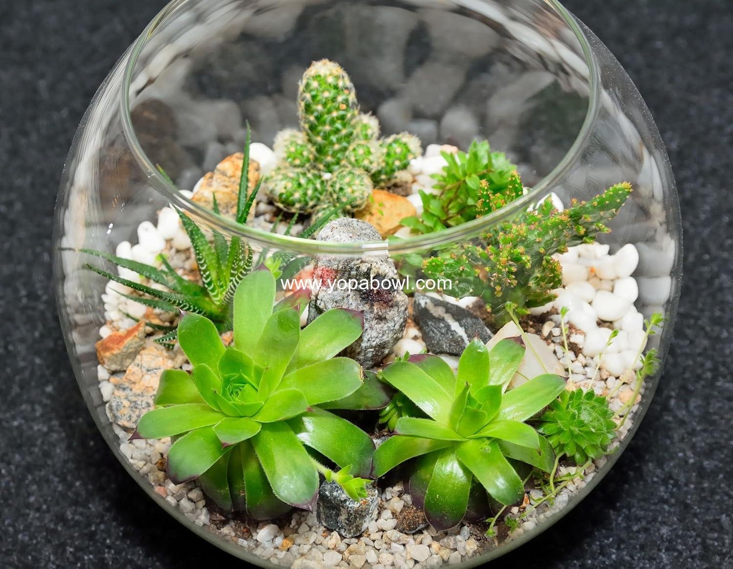 Wholesale 12 Pcs 6''W x 5''H Bubble Bowl Vase Centerpiece Round Glass Flower Vase Bulk Clear Terrarium Fish Bowl Goldfish Planter for Wedding Event Office Home Decor Factory