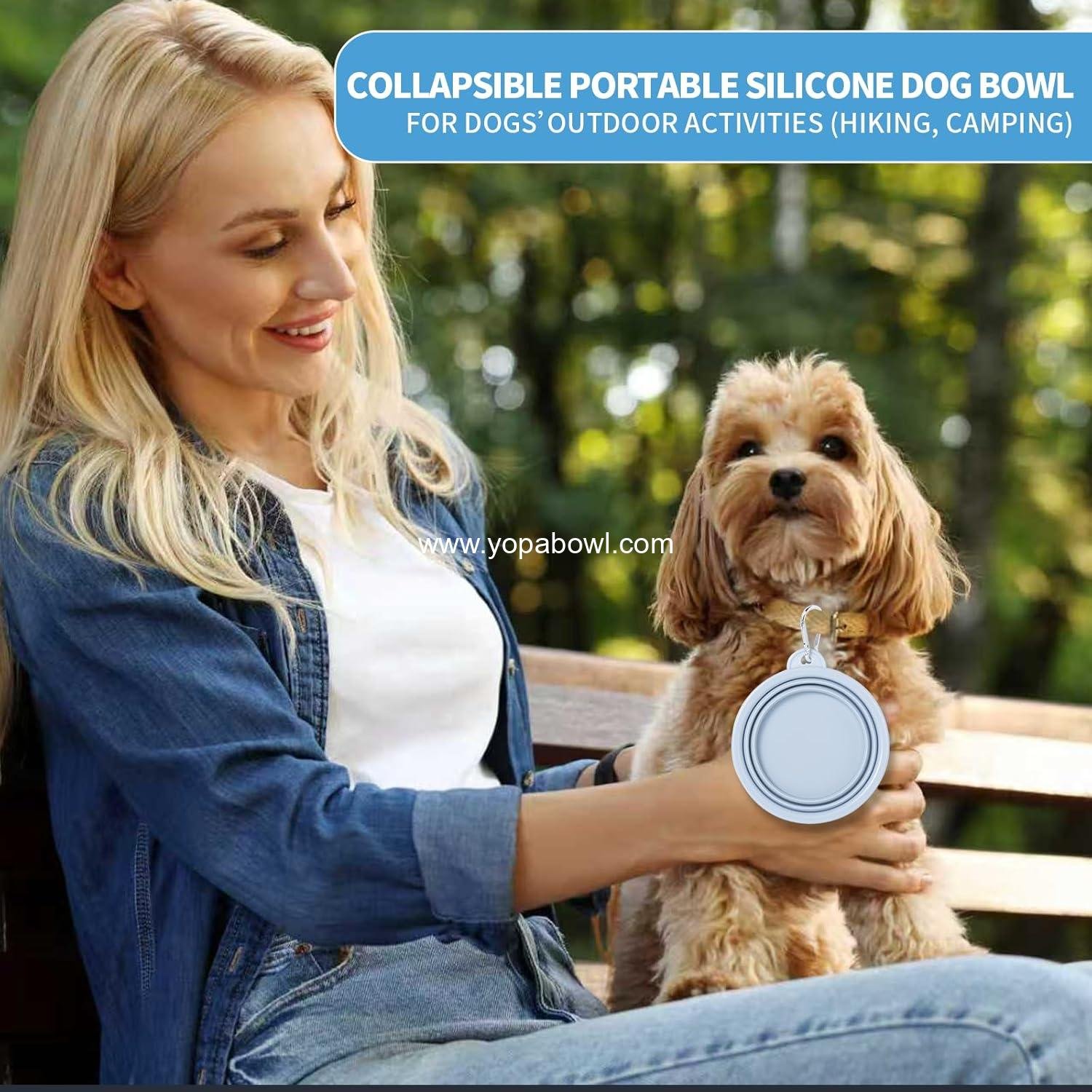 OEM Collapsible Silicone Dog Bowl 2 Pack Macaron Colors Foldable Travel Water Feeder for Small to Large Dogs Cats Hiking Camping Blue Light Grey Small Factory