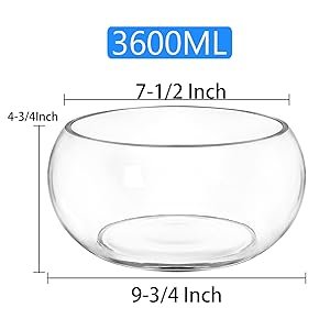 OEM 0.9 Gallon Clear Round Shallow Glass Fish Bowl with Decor for Betta Fish Aquatic Plants Includes Stones Tree Nets for Holiday Wedding Centerpiece Factory OEM 0.9 Gallon Clear Round Shallow Glass Fish Bowl with Decor for Betta Fish Aquatic Plants Includes Stones Tree Nets for Holiday Wedding Centerpiece Factory
