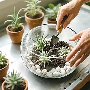 OEM 0.9 Gallon Clear Round Shallow Glass Fish Bowl with Decor for Betta Fish Aquatic Plants Includes Stones Tree Nets for Holiday Wedding Centerpiece Factory OEM 0.9 Gallon Clear Round Shallow Glass Fish Bowl with Decor for Betta Fish Aquatic Plants Includes Stones Tree Nets for Holiday Wedding Centerpiece Factory